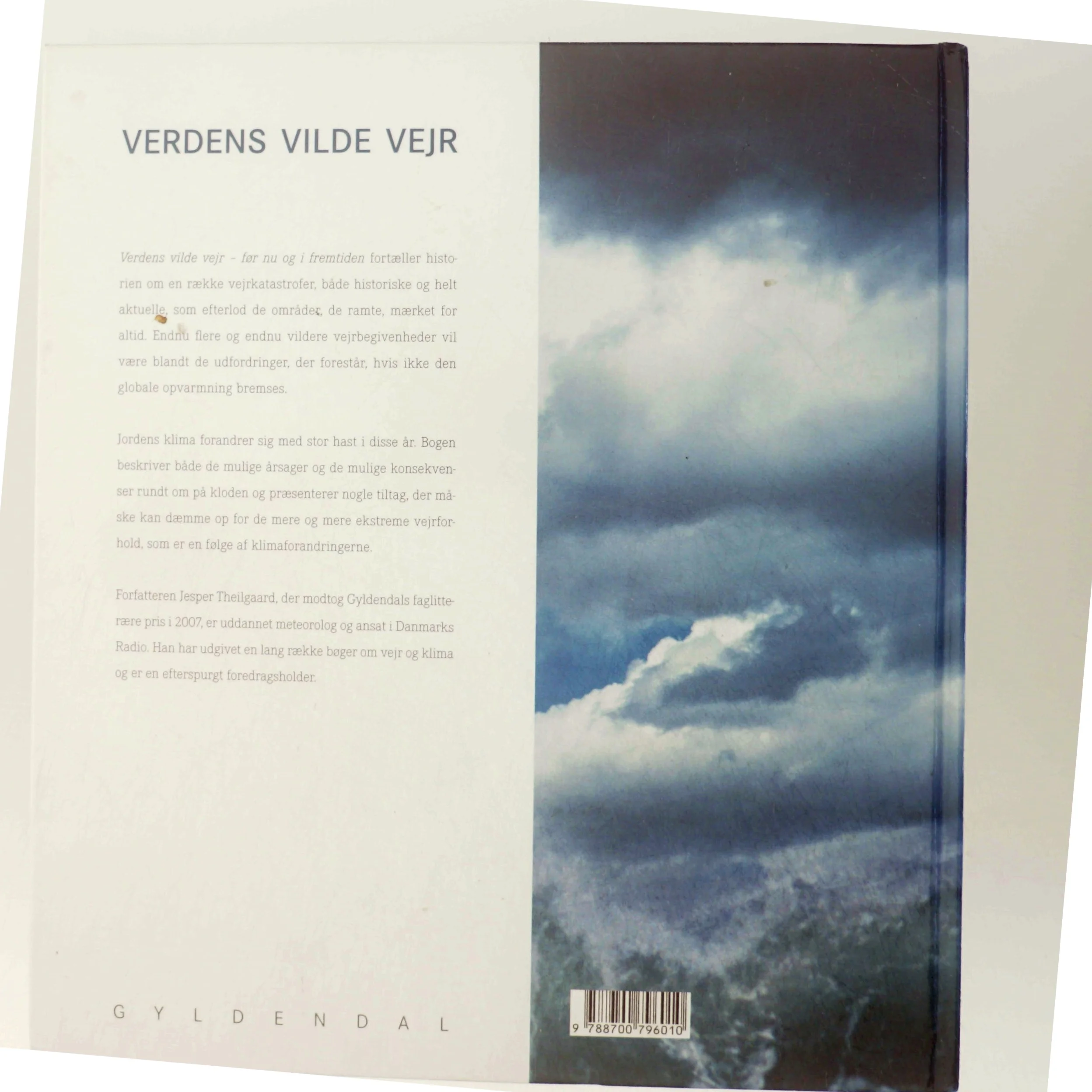 Verdens vilde vejr af Jesper Theilgaard (Bog)