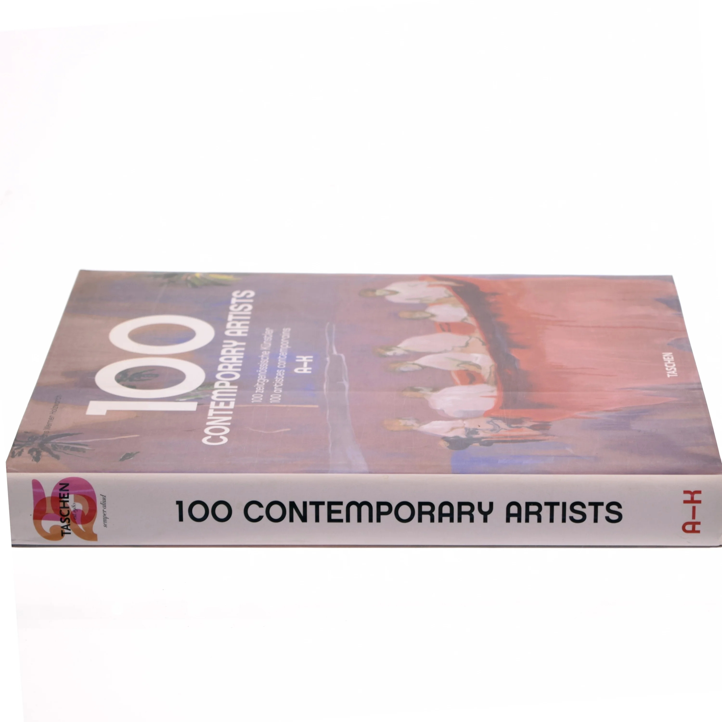 Bog 100 Contemporary Artists A-N