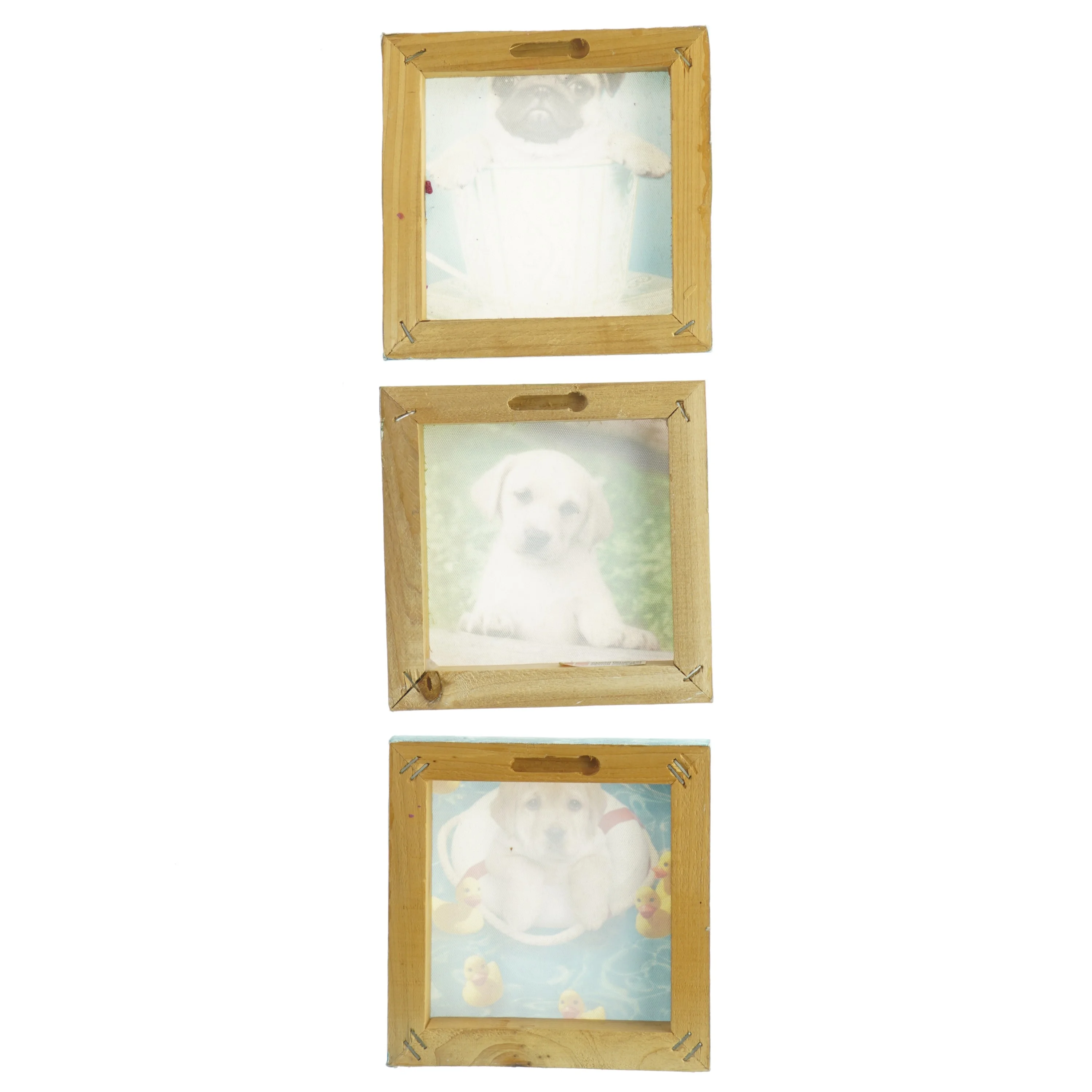 Billeder med hundemotiver (str. 14 x 14 cm)