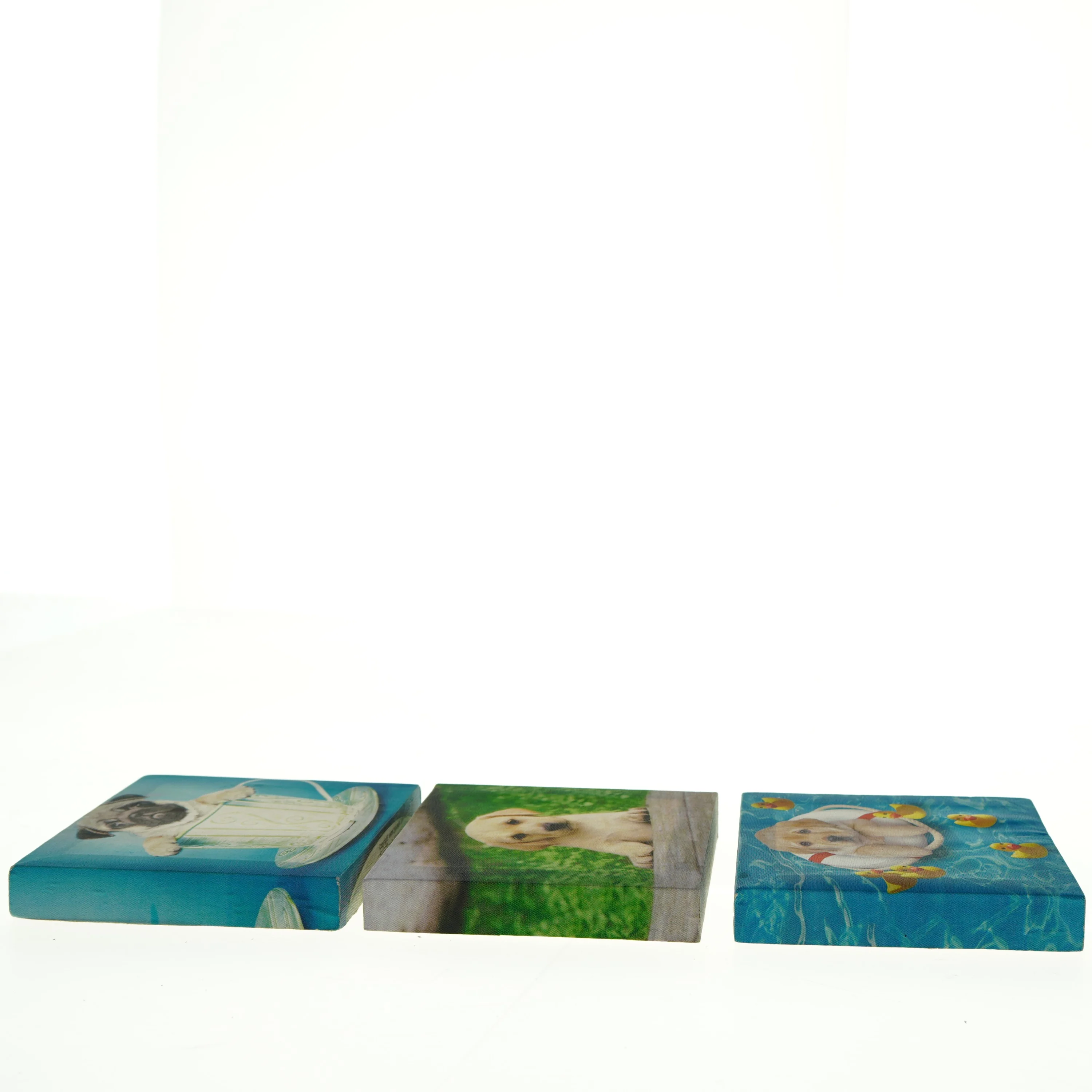 Billeder med hundemotiver (str. 14 x 14 cm)