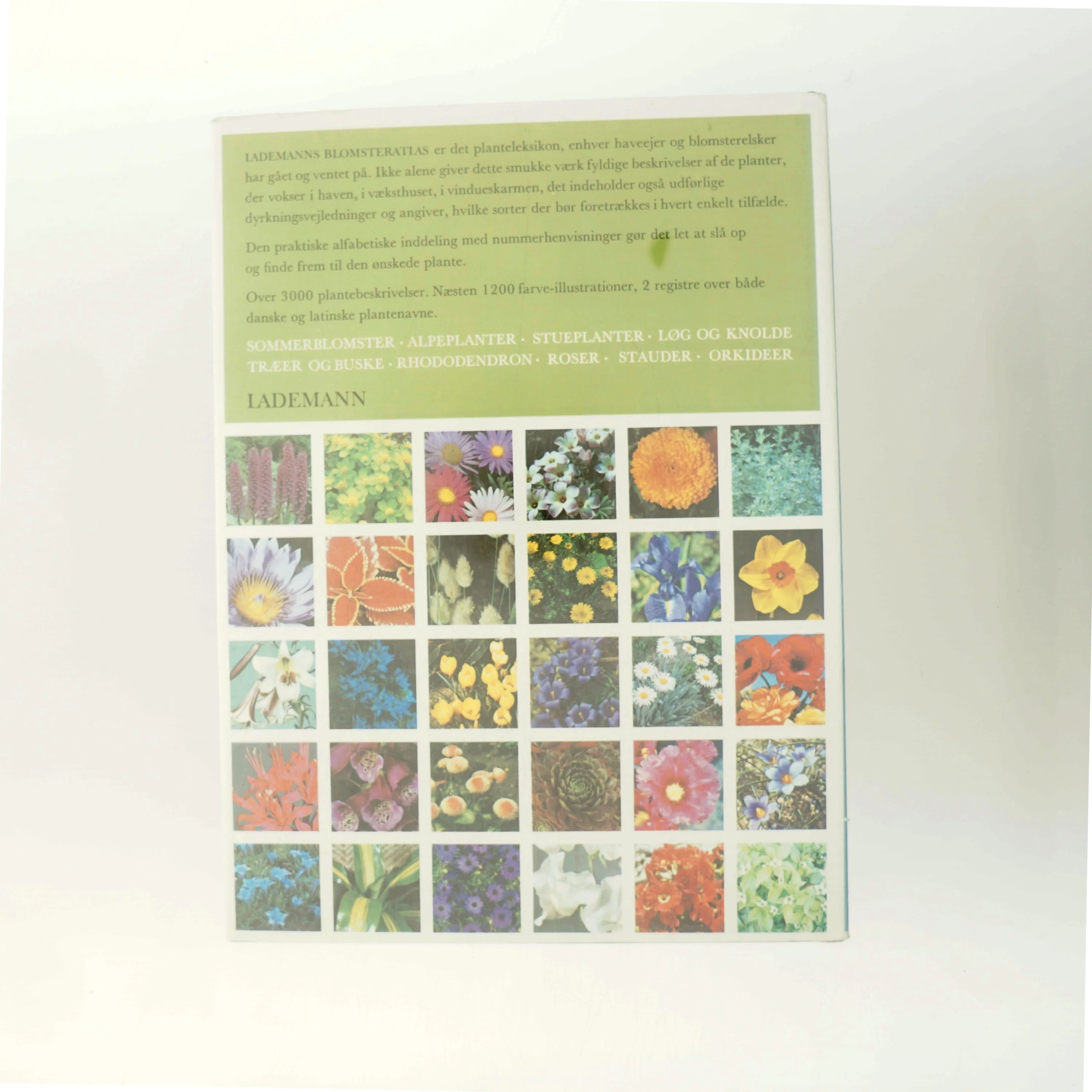 Lademanns Blomsteratlas af Roy Hay (Bog)