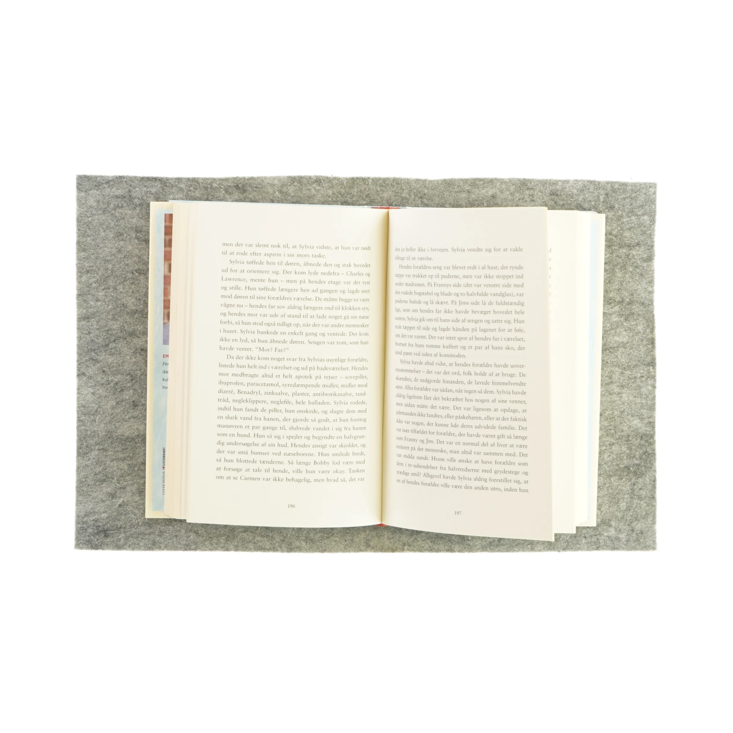 Feriegæsterne af Emma Straus (bog)