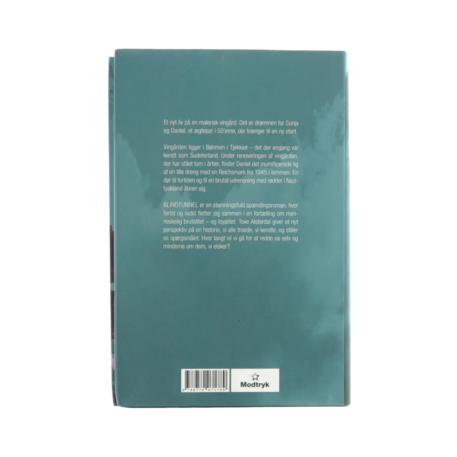 Blind-tunnel af Tove Alsterdal (bog)