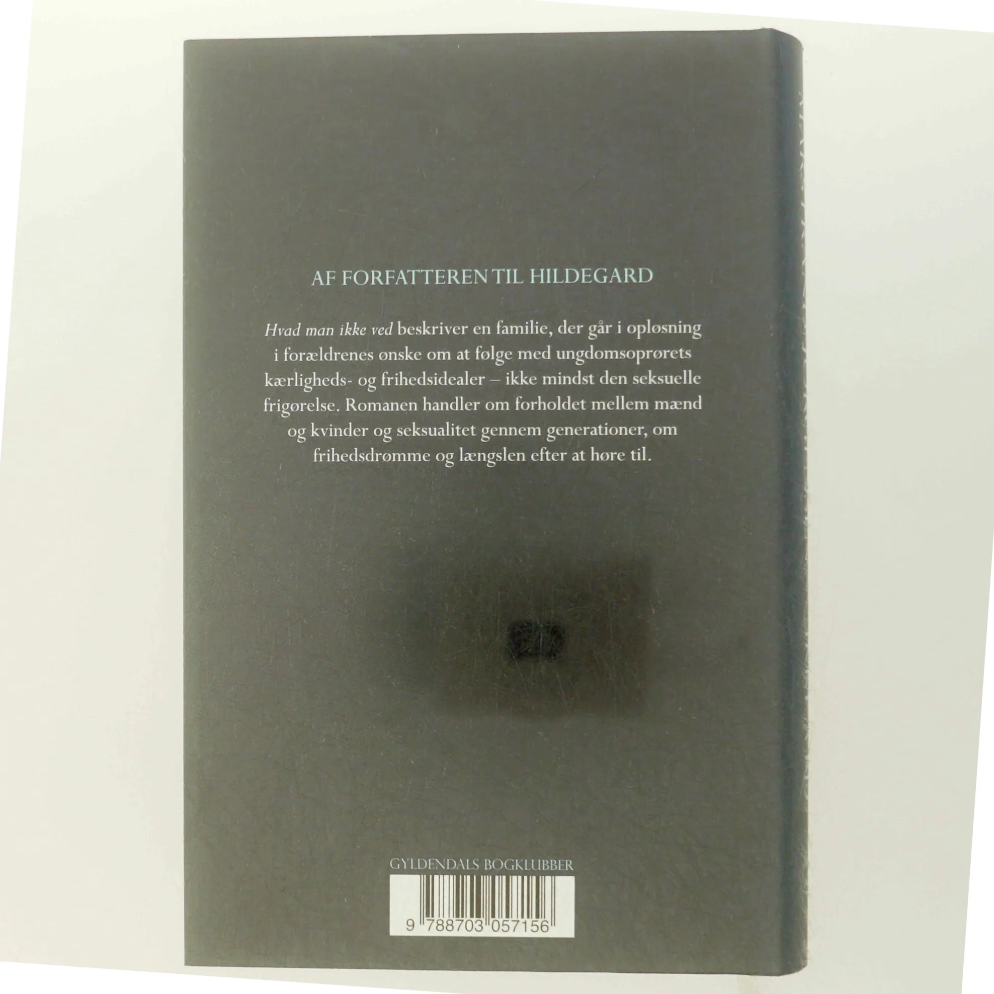 Hvad man ikke ved : roman af Anne Lise Marstrand-Jørgensen (Bog)