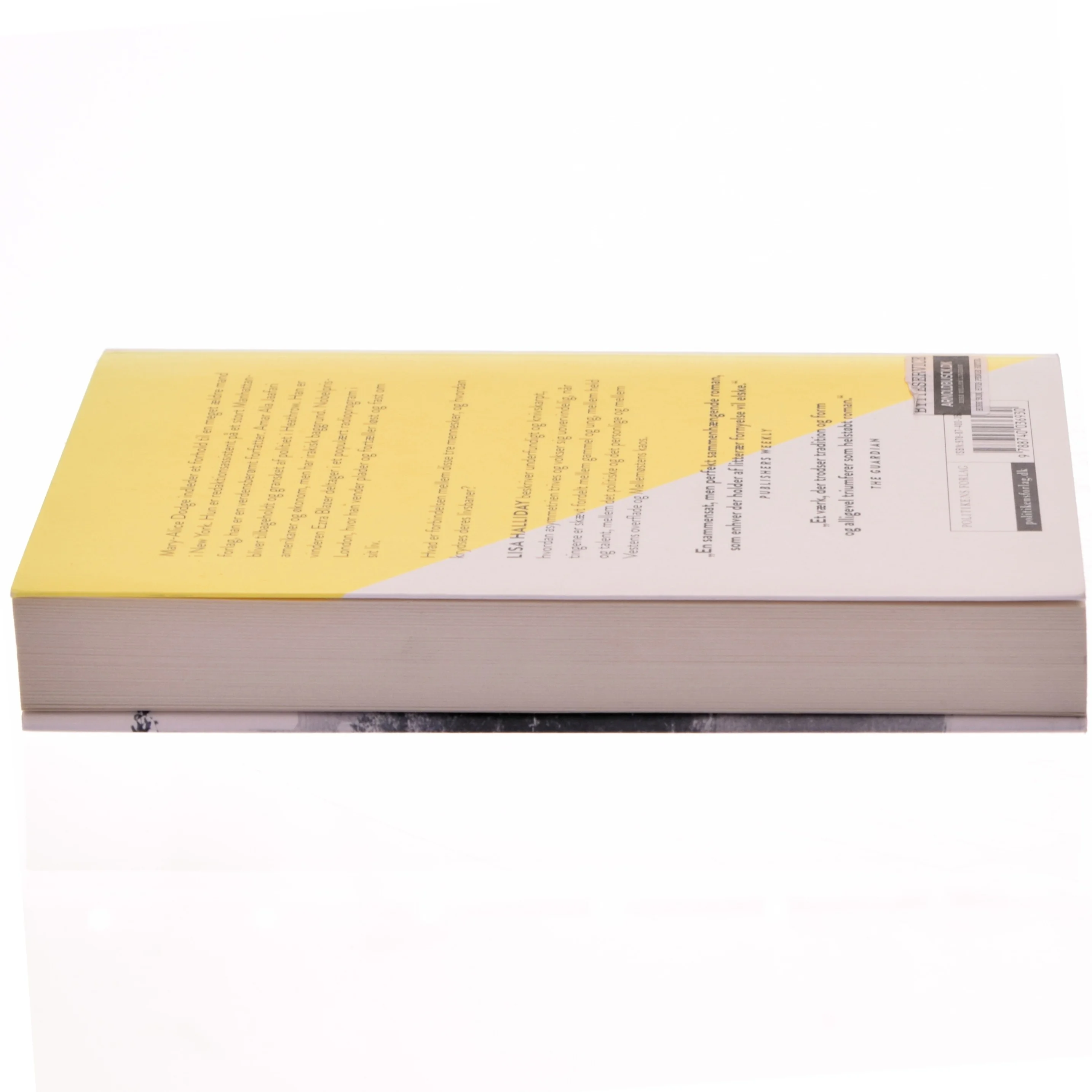 Asymmetri af Lisa Halliday (Bog)