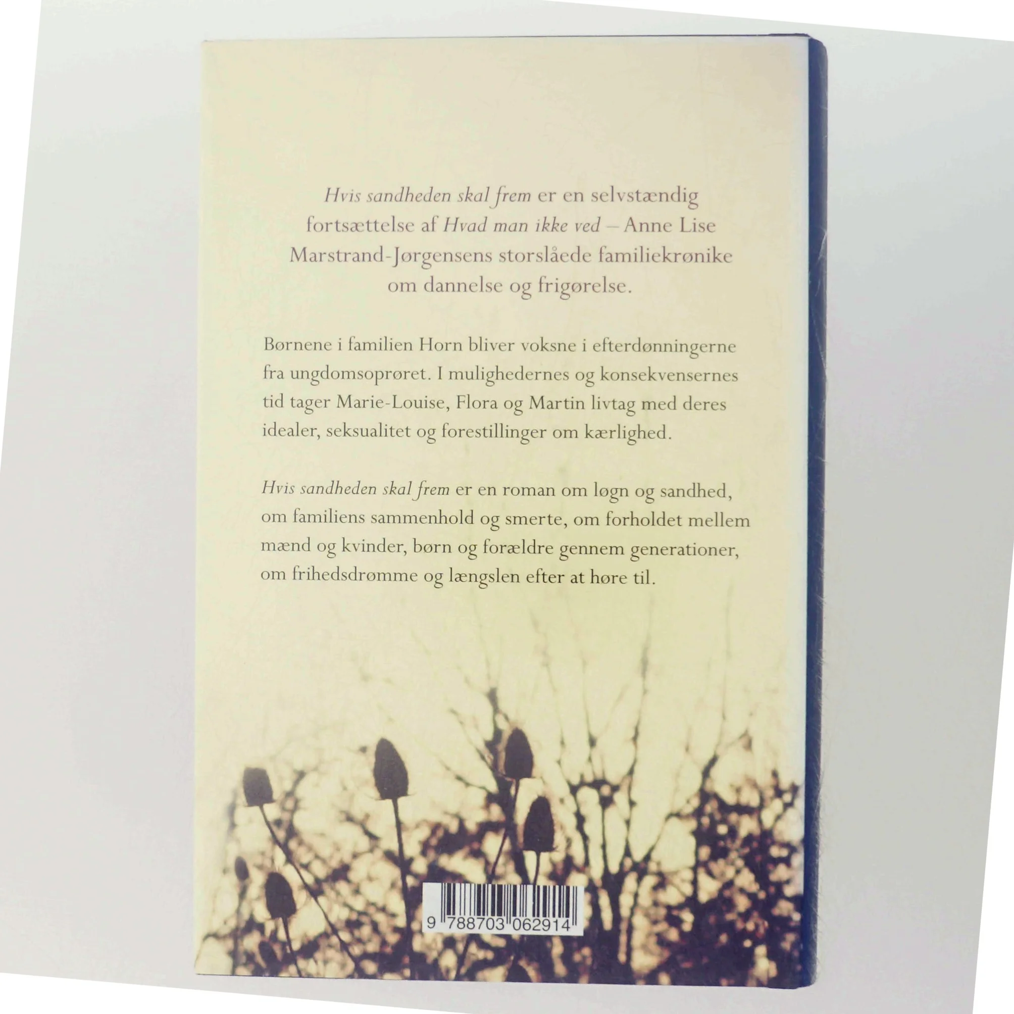 Hvis sandheden skal frem : roman af Anne Lise Marstrand-Jørgensen (Bog)