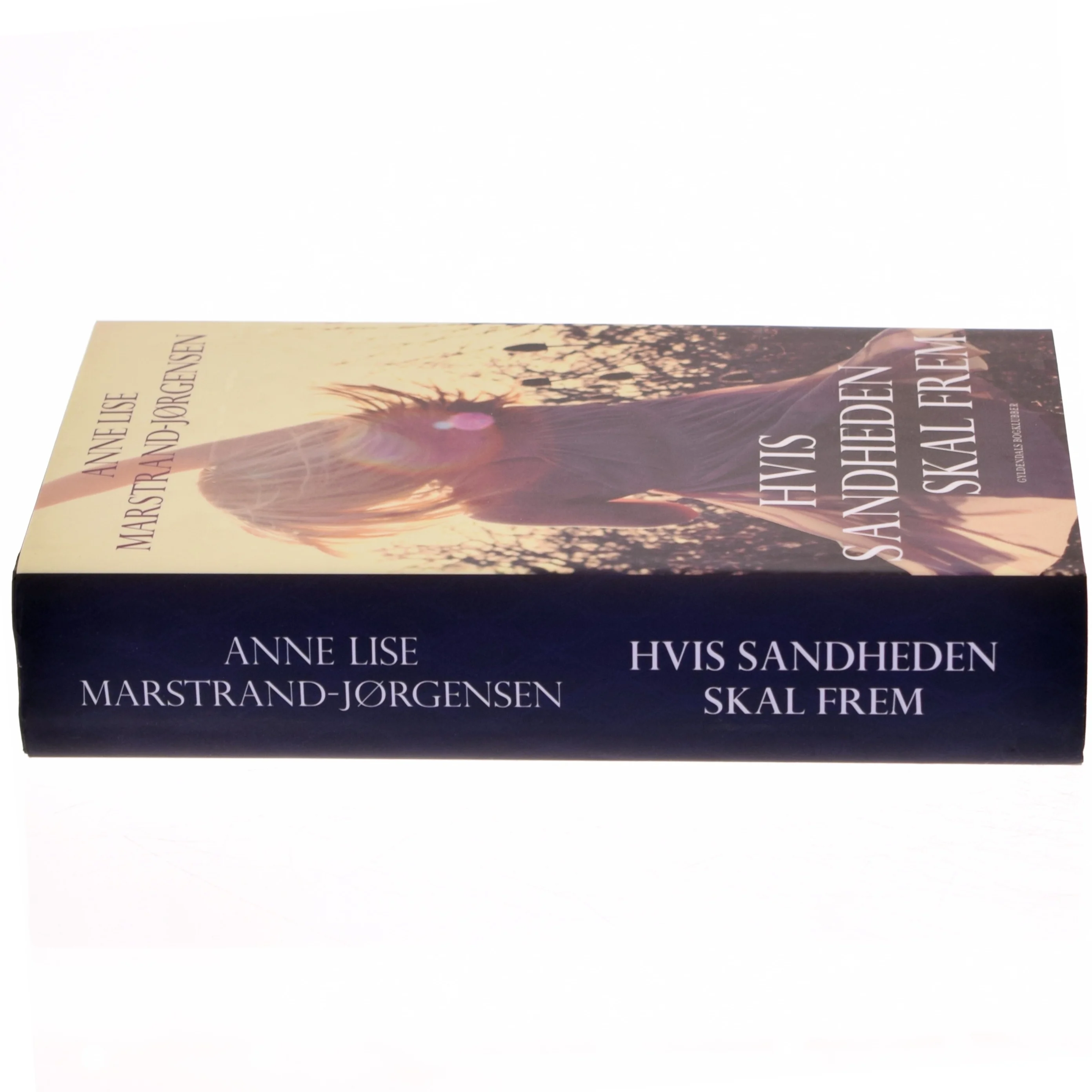 Hvis sandheden skal frem : roman af Anne Lise Marstrand-Jørgensen (Bog)