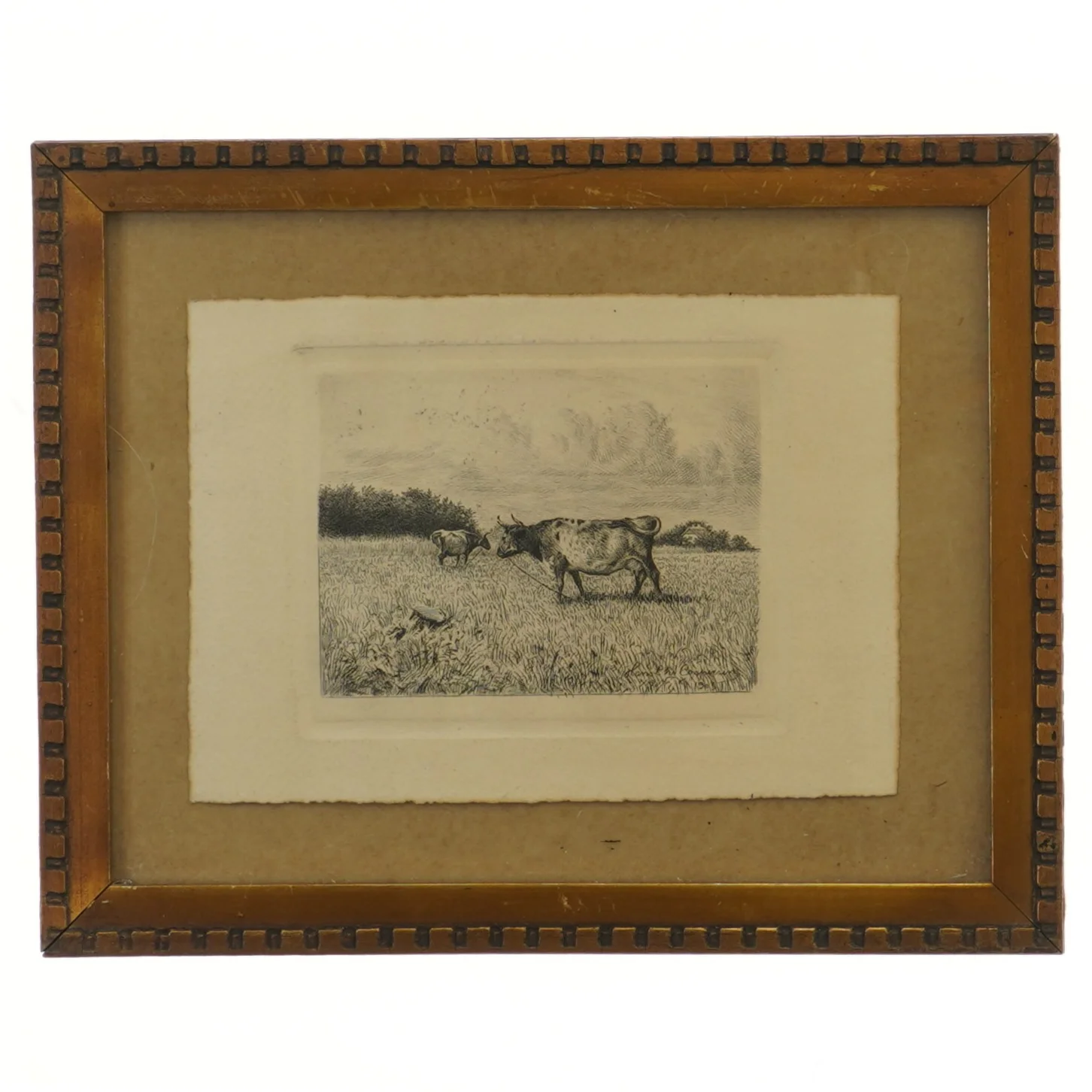 Billede med ramme (str. 28,5x23,5 cm)