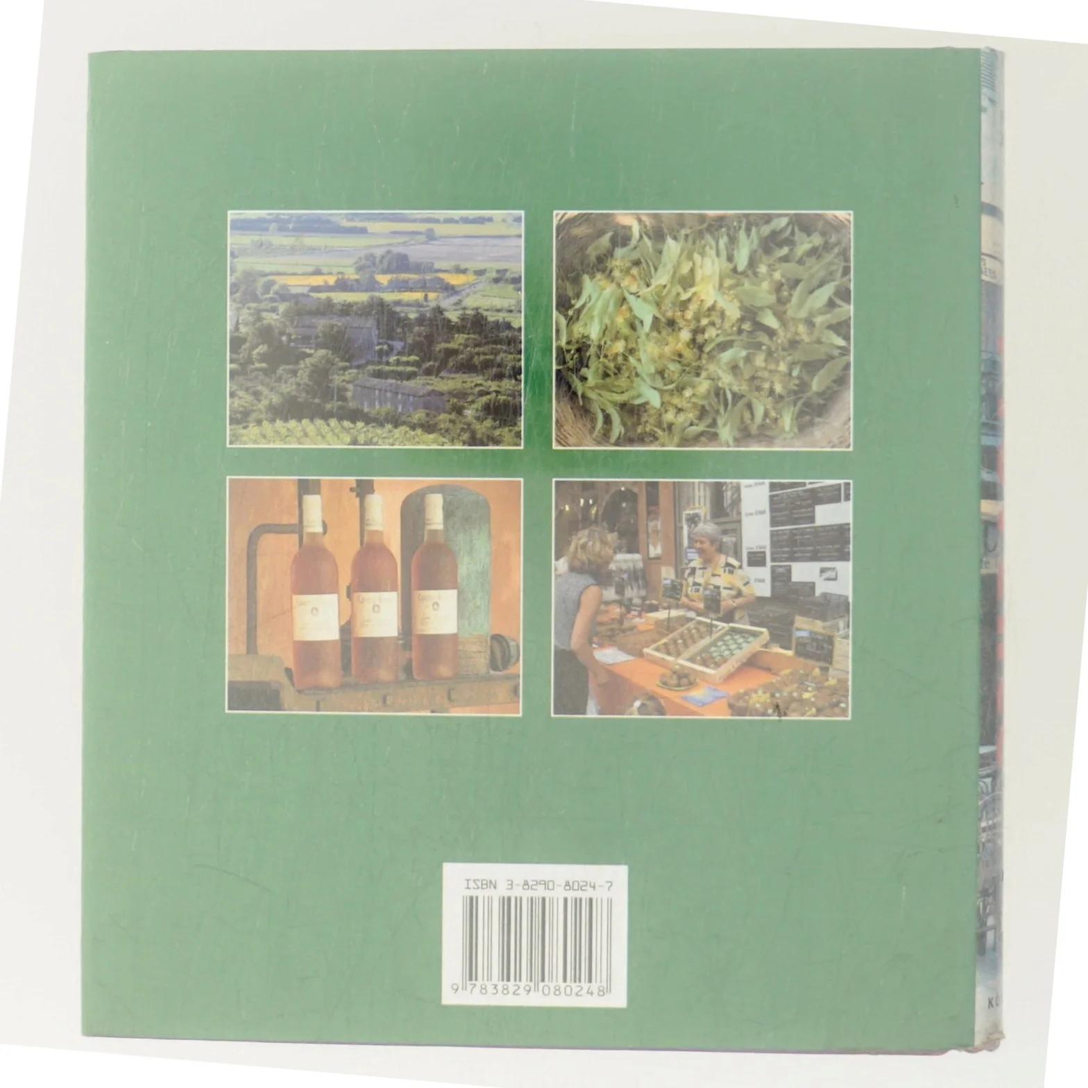 A Taste of Provence af Francie Jouanin (Bog)