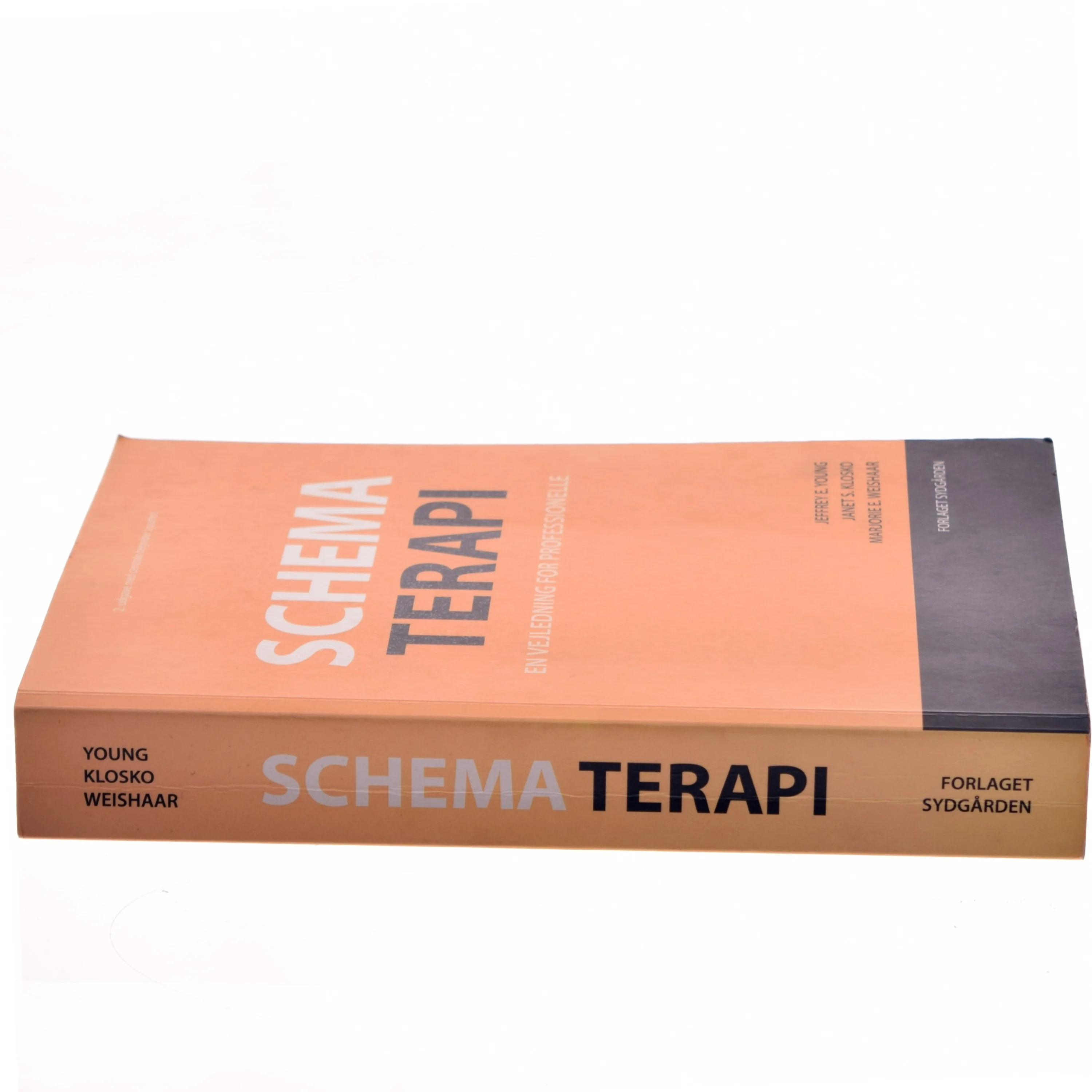 Schema terapi : en vejledning for professionelle af Jeffrey E. Young (Bog)