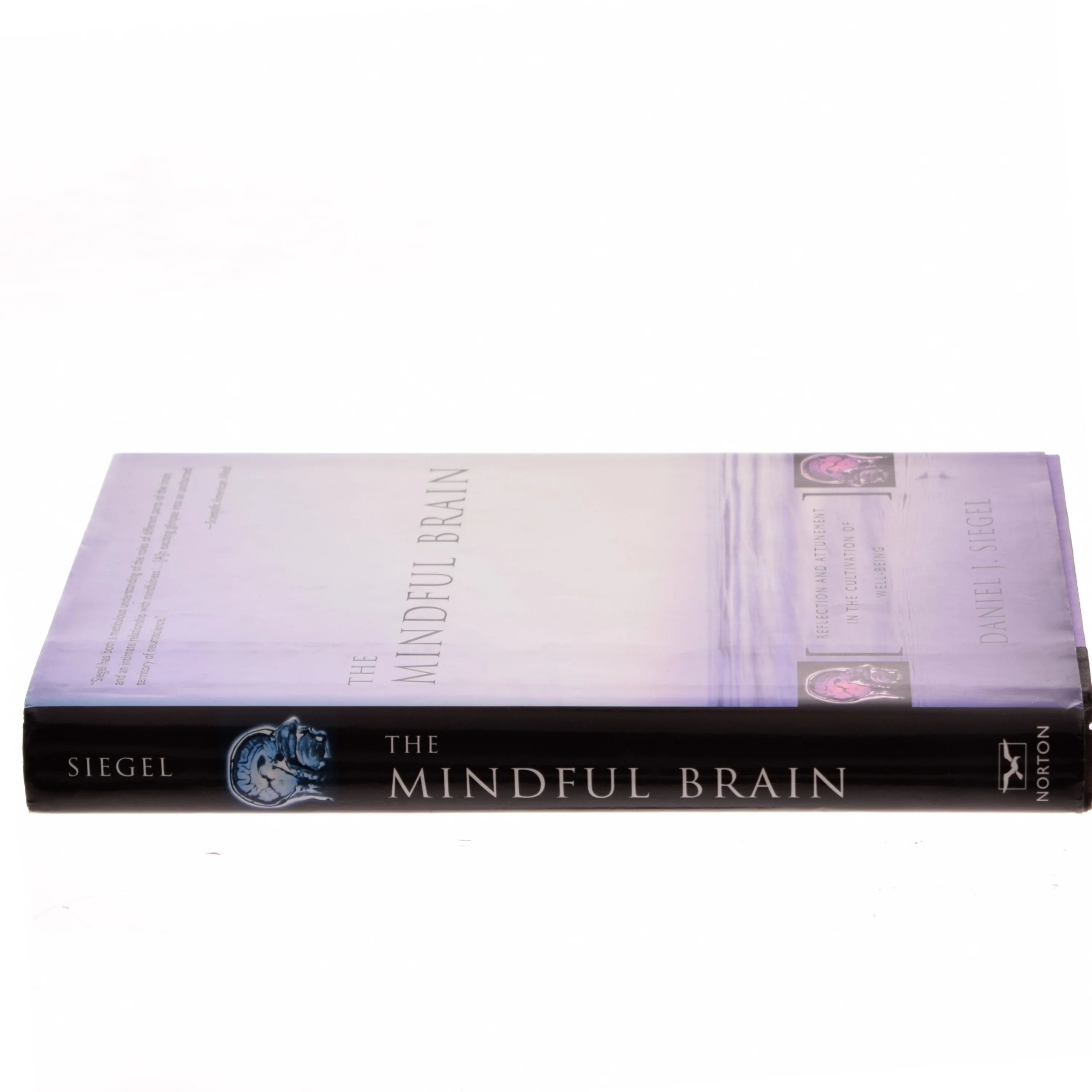 The mindful brain : reflection and attunement in the cultivation of well-being af Daniel J. Siegel (Bog)