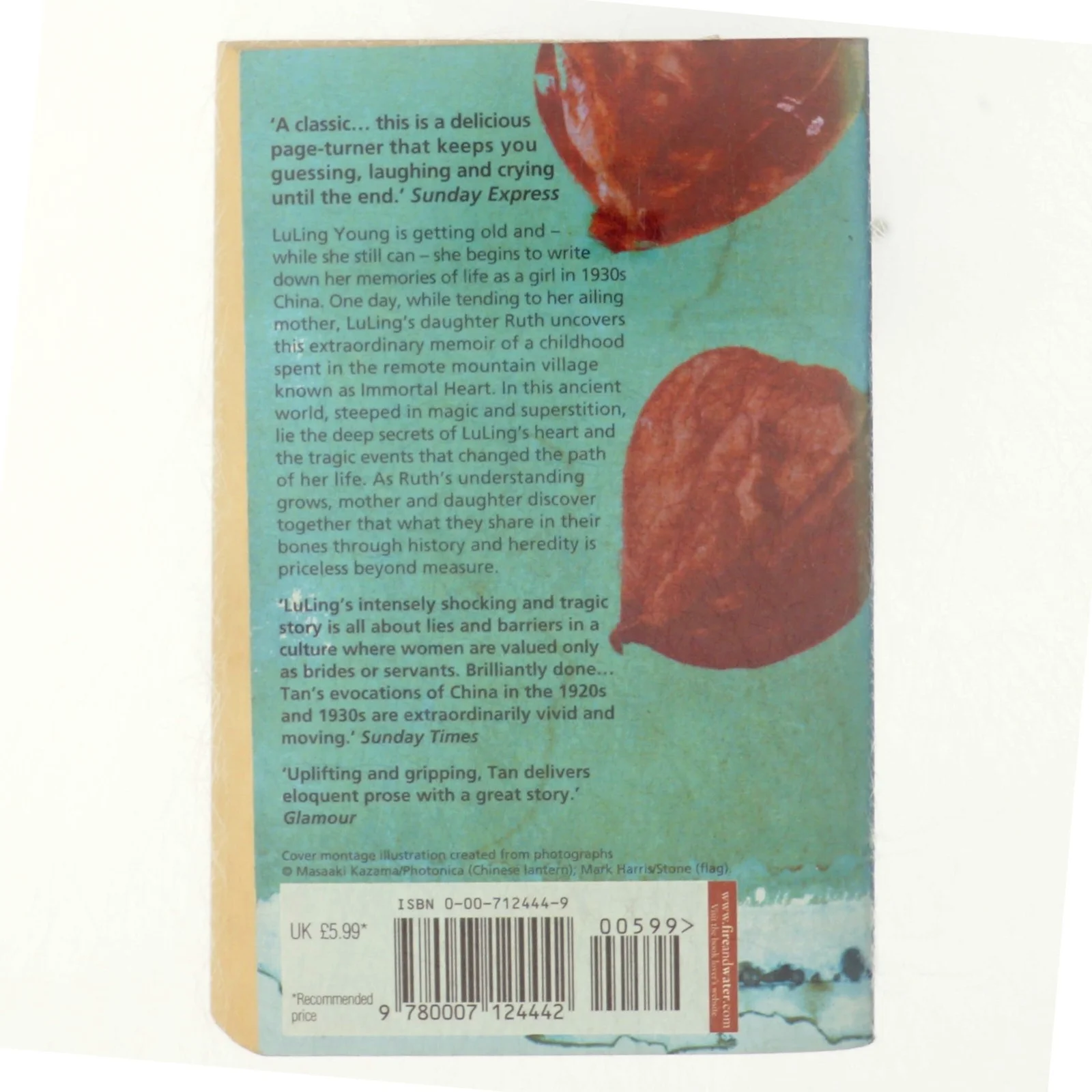 The bonesetter's daughter af Amy Tan (Bog)