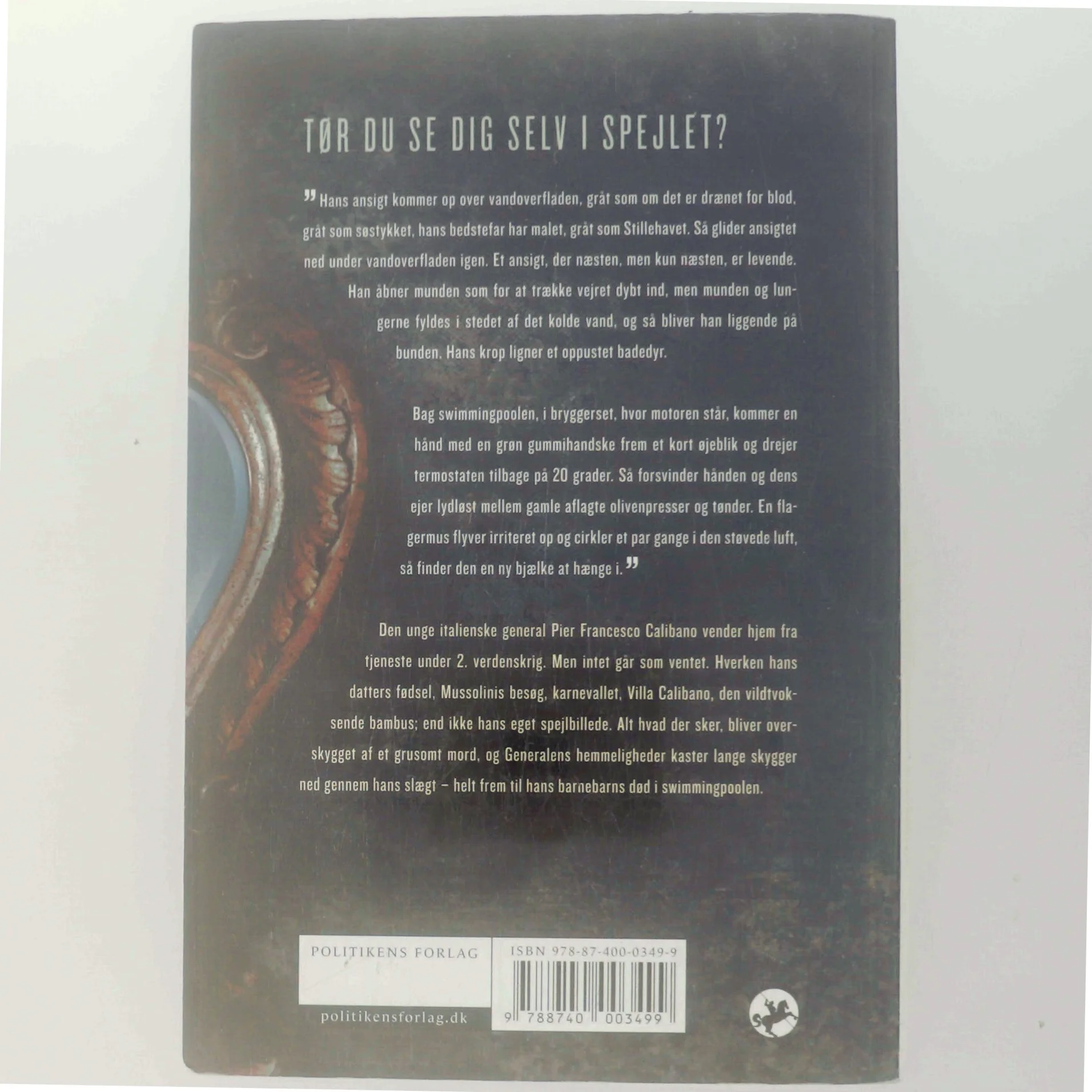 Næsten levende : en slægtskrimi af Liv Mørk (Bog)