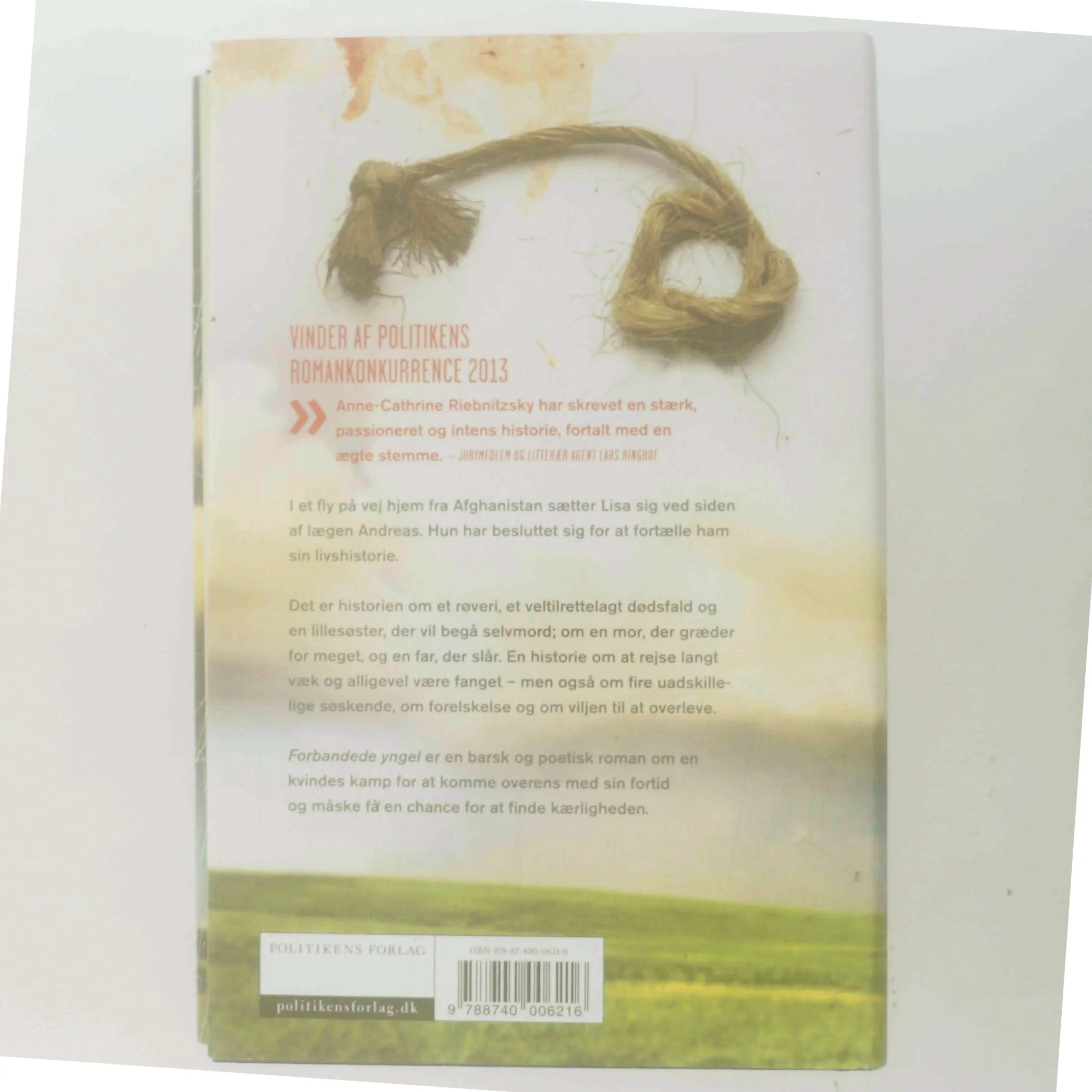 Forbandede yngel (Klassesæt) af Anne-Cathrine Riebnitzsky (Bog)