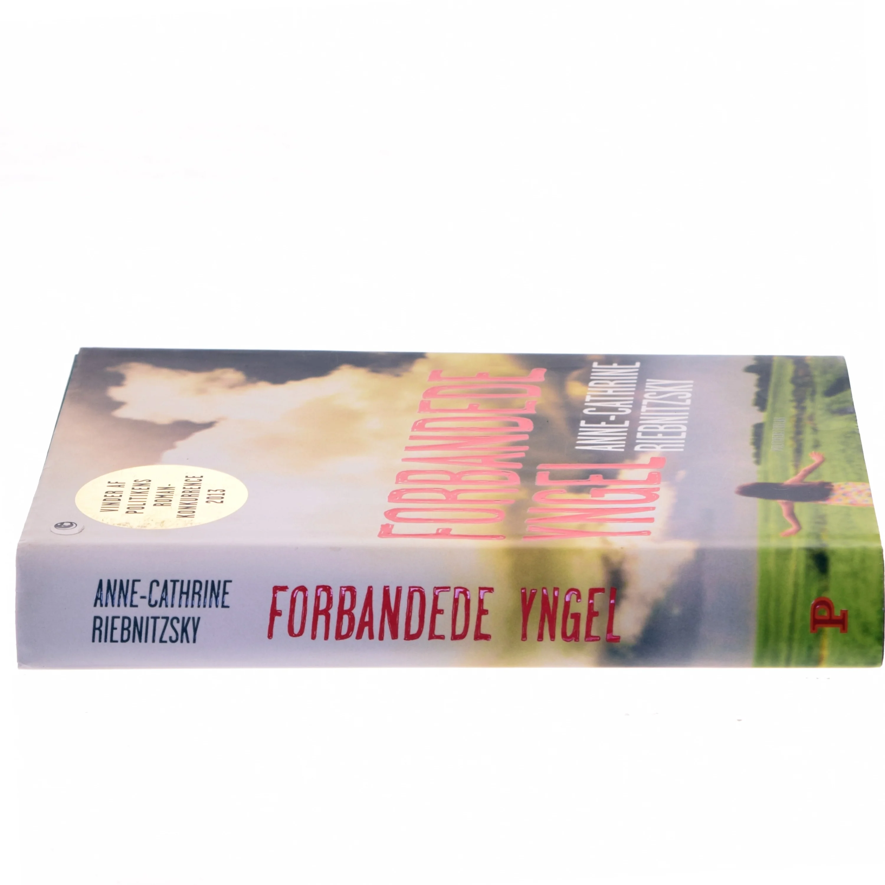 Forbandede yngel (Klassesæt) af Anne-Cathrine Riebnitzsky (Bog)