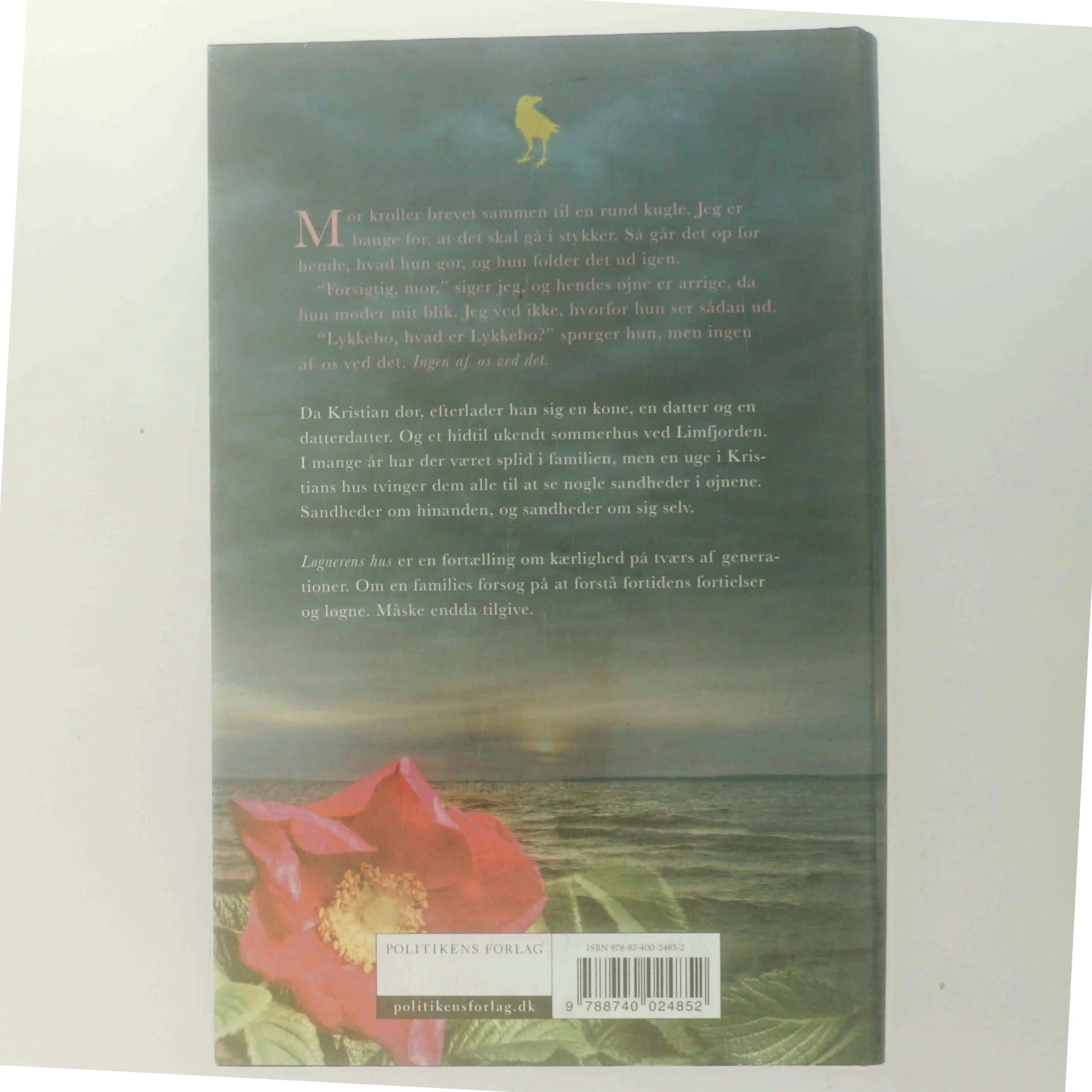 Løgnerens hus : roman (Klassesæt) af Katrine Nørregaard (f. 1994) (Bog)