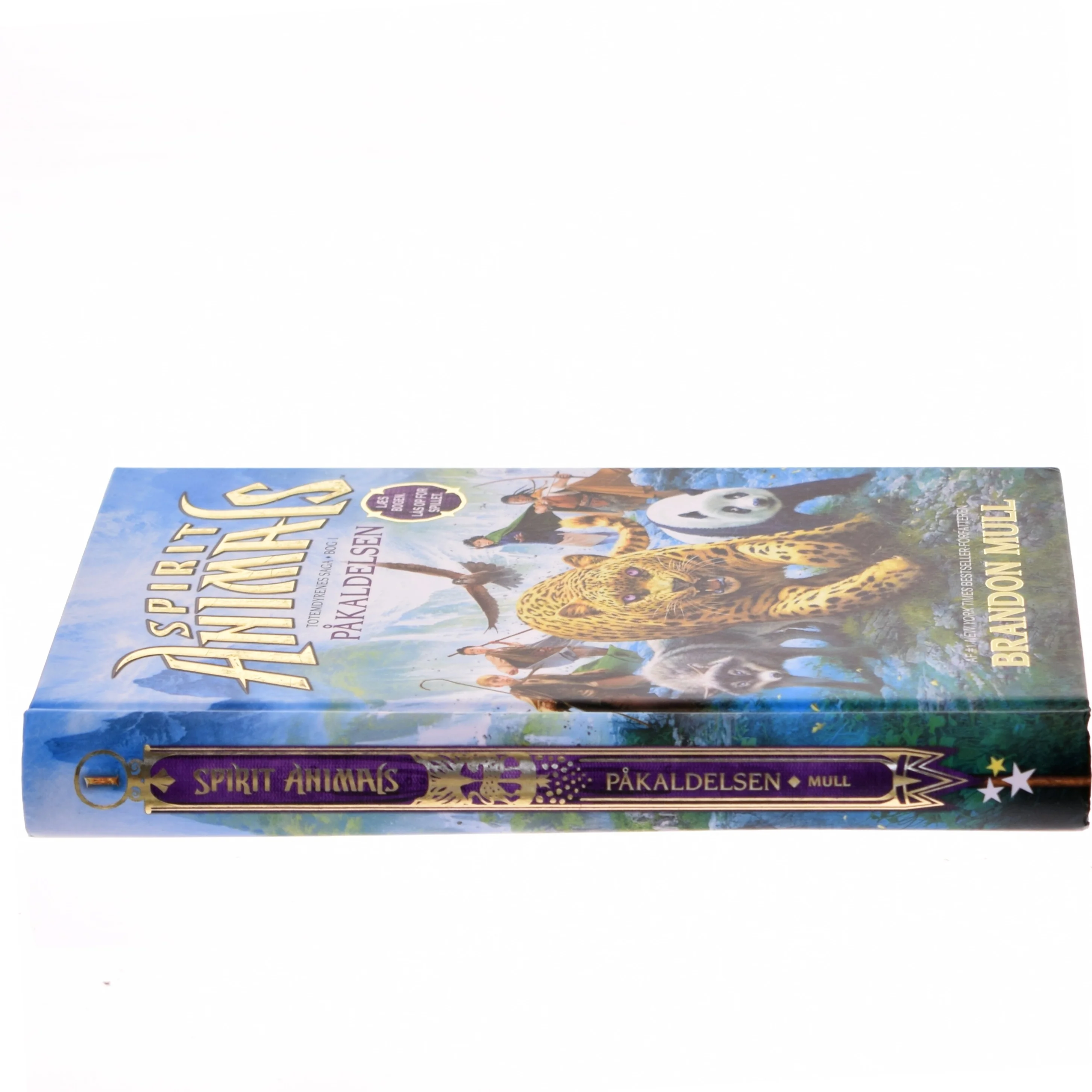 Spirit animals - påkaldelsen af Brandon Mull (Bog)