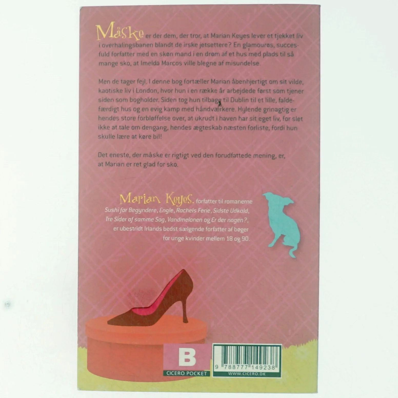 Under dynen : om høje hæle, filmaftaler, store biler, sko, anmeldelser, nedtrykthed, håndværkere, babyer, familier og andre ulykker af Marian Keyes (Bog)