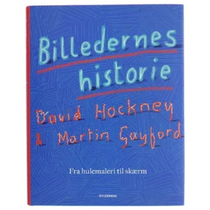 Billedernes historie : fra hulemaleri til skærm af David Hockney (Bog)