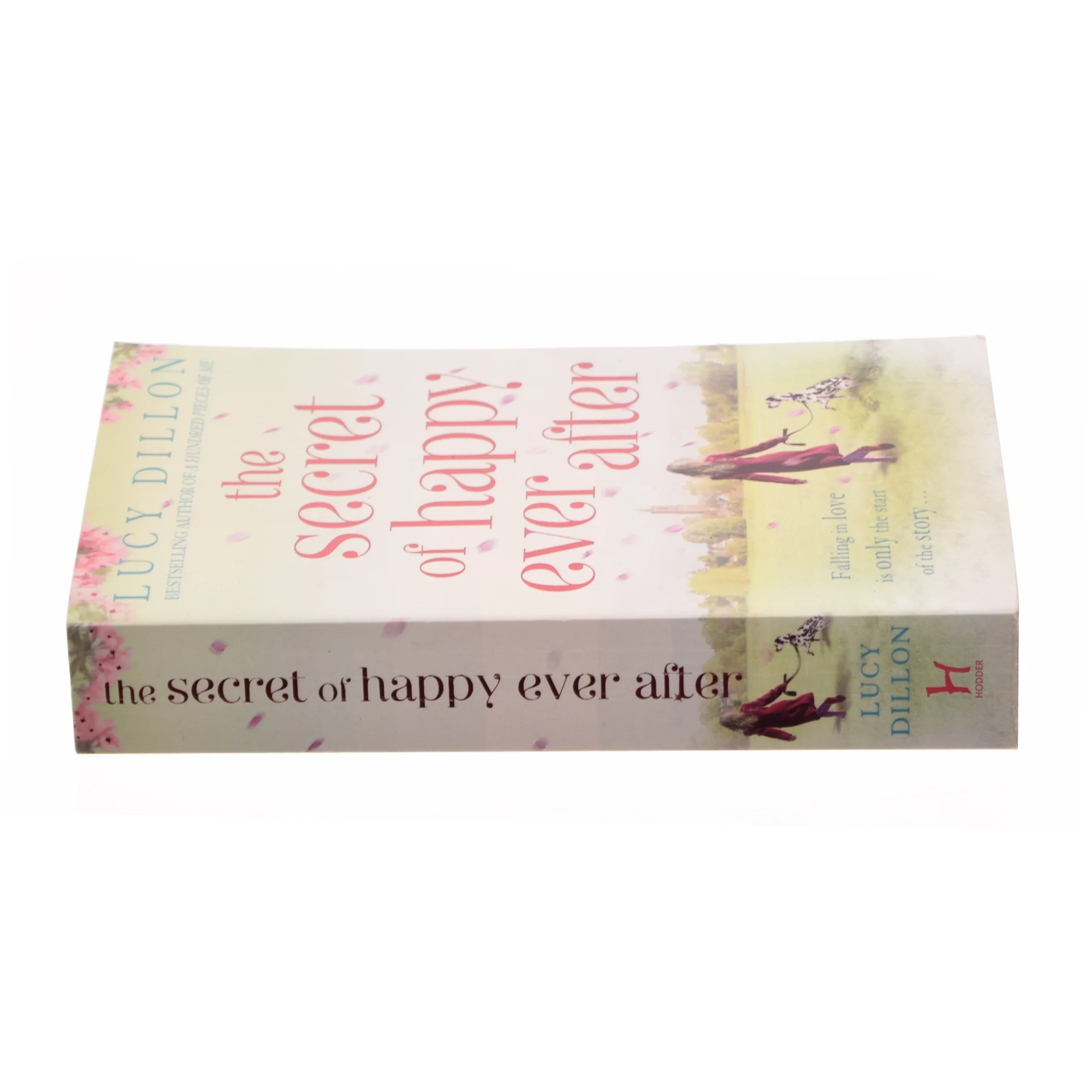 The Secret of Happy Ever After by Lucy Dillon (Bog)