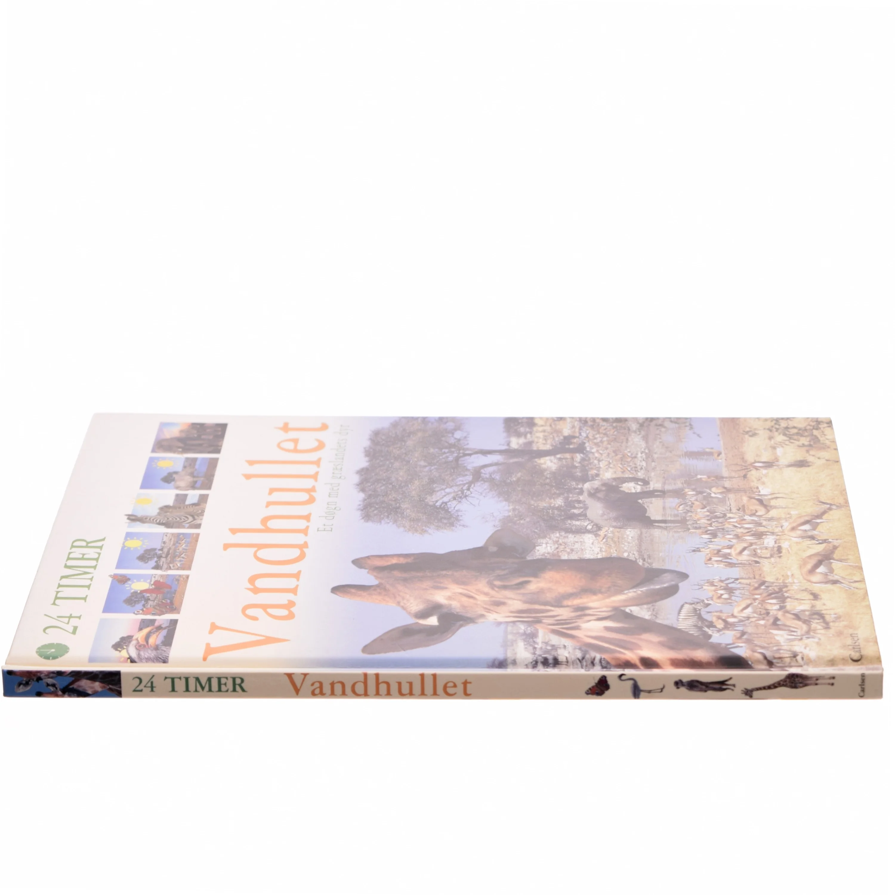 Vandhullet af Zahavit Shalev (Bog)