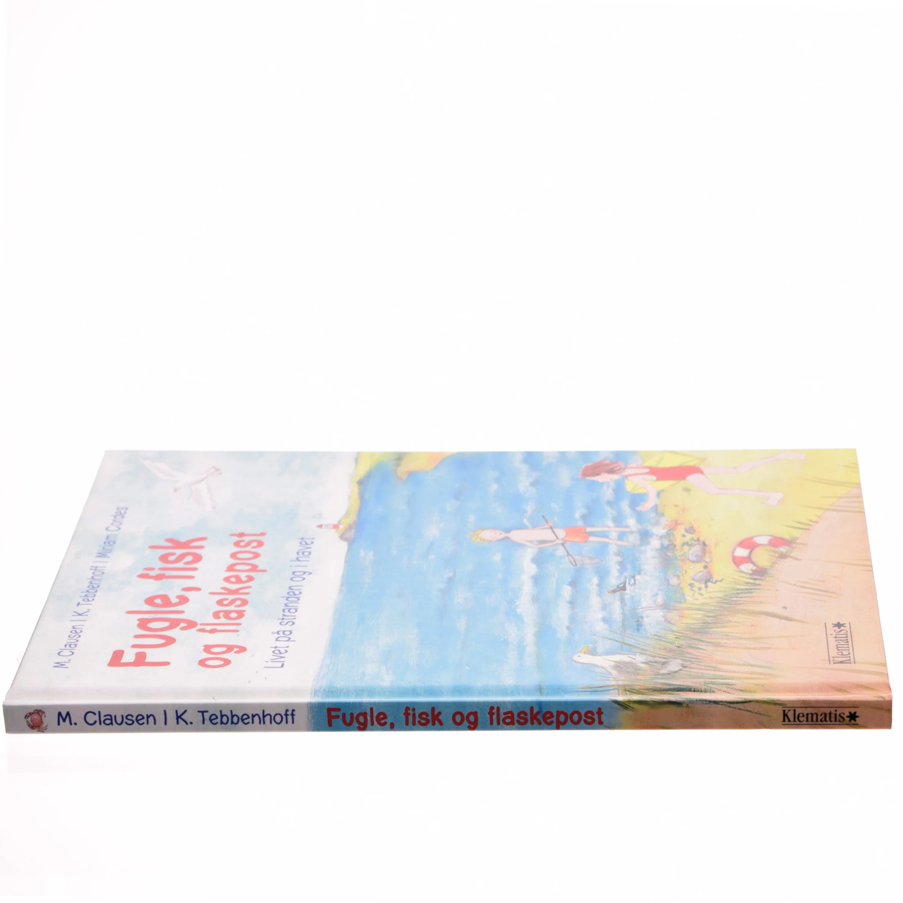 Fugle, fisk og flaskepost af Marion Clausen, Katharina Tebbenhoff, Dieter Heidenreich (Bog)