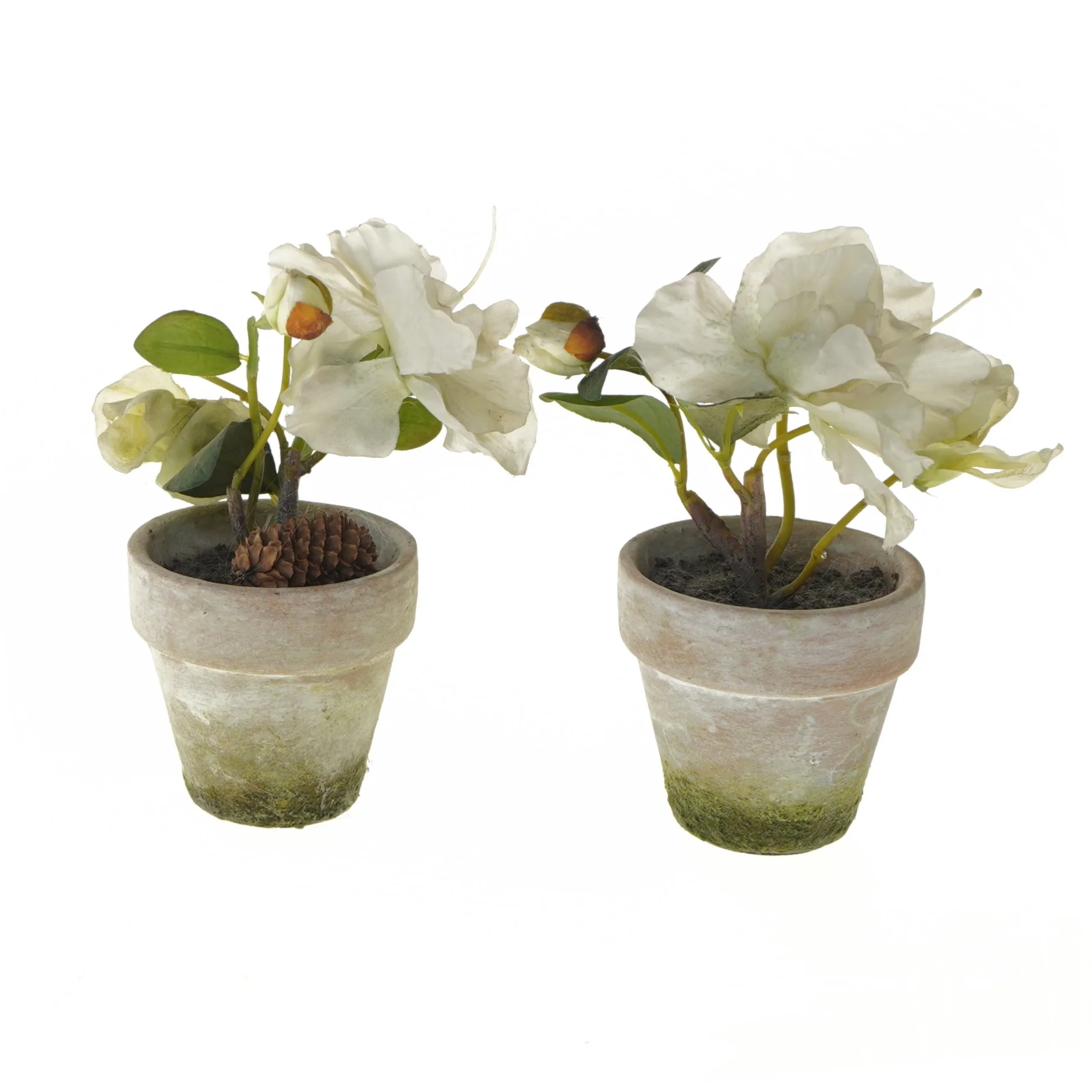 Dekorative blomster i potte (str. 17 cm)