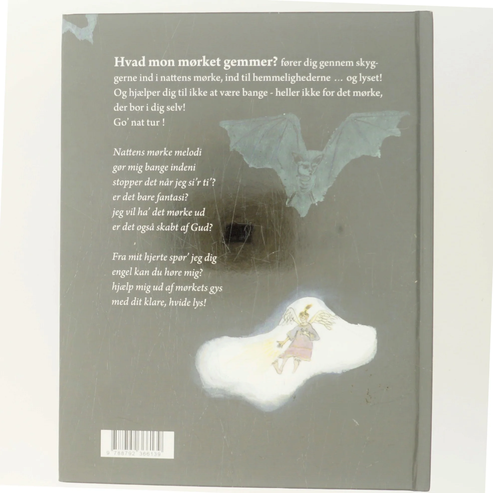 Hvad mon mørket gemmer? af Eva Matjeka (Bog)