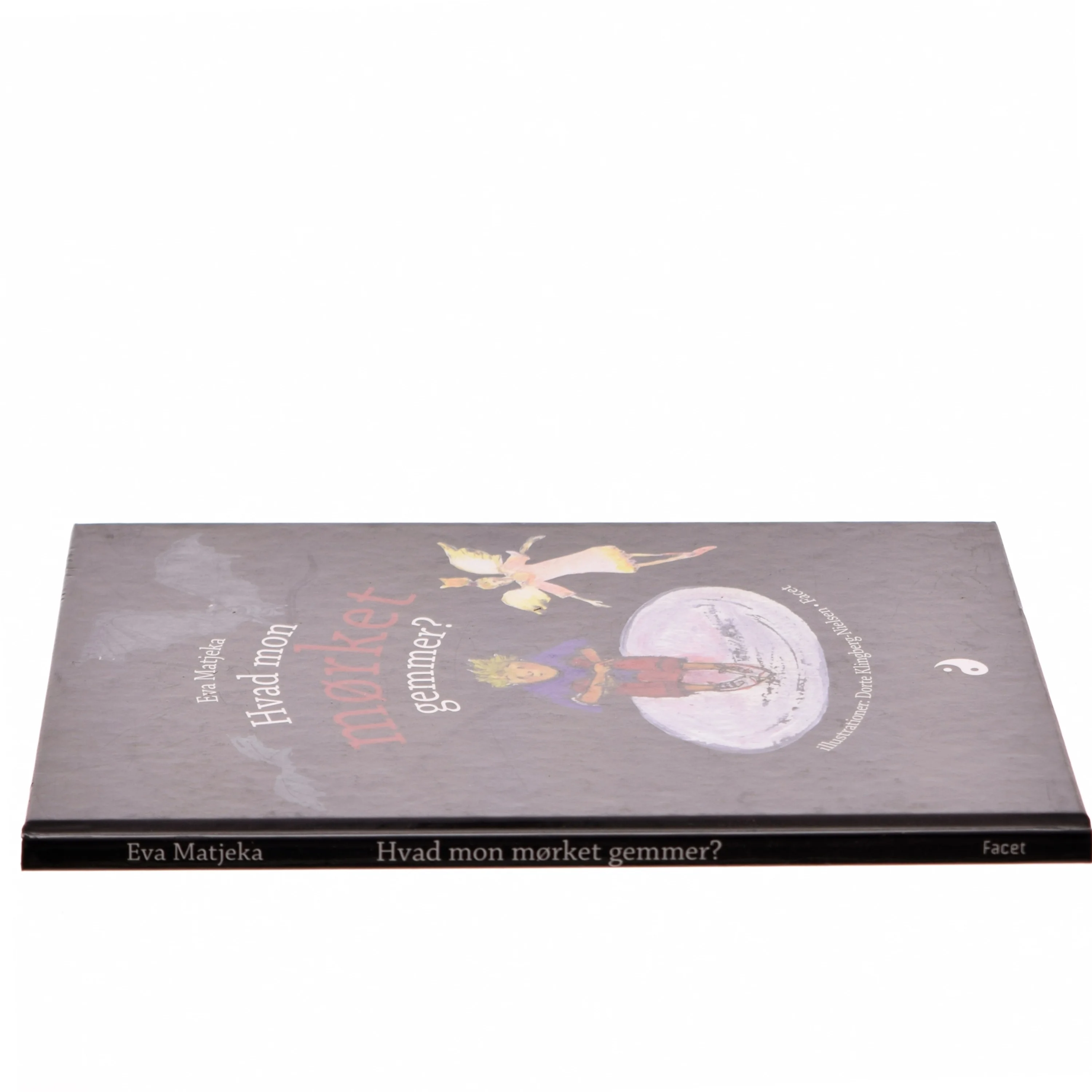 Hvad mon mørket gemmer? af Eva Matjeka (Bog)