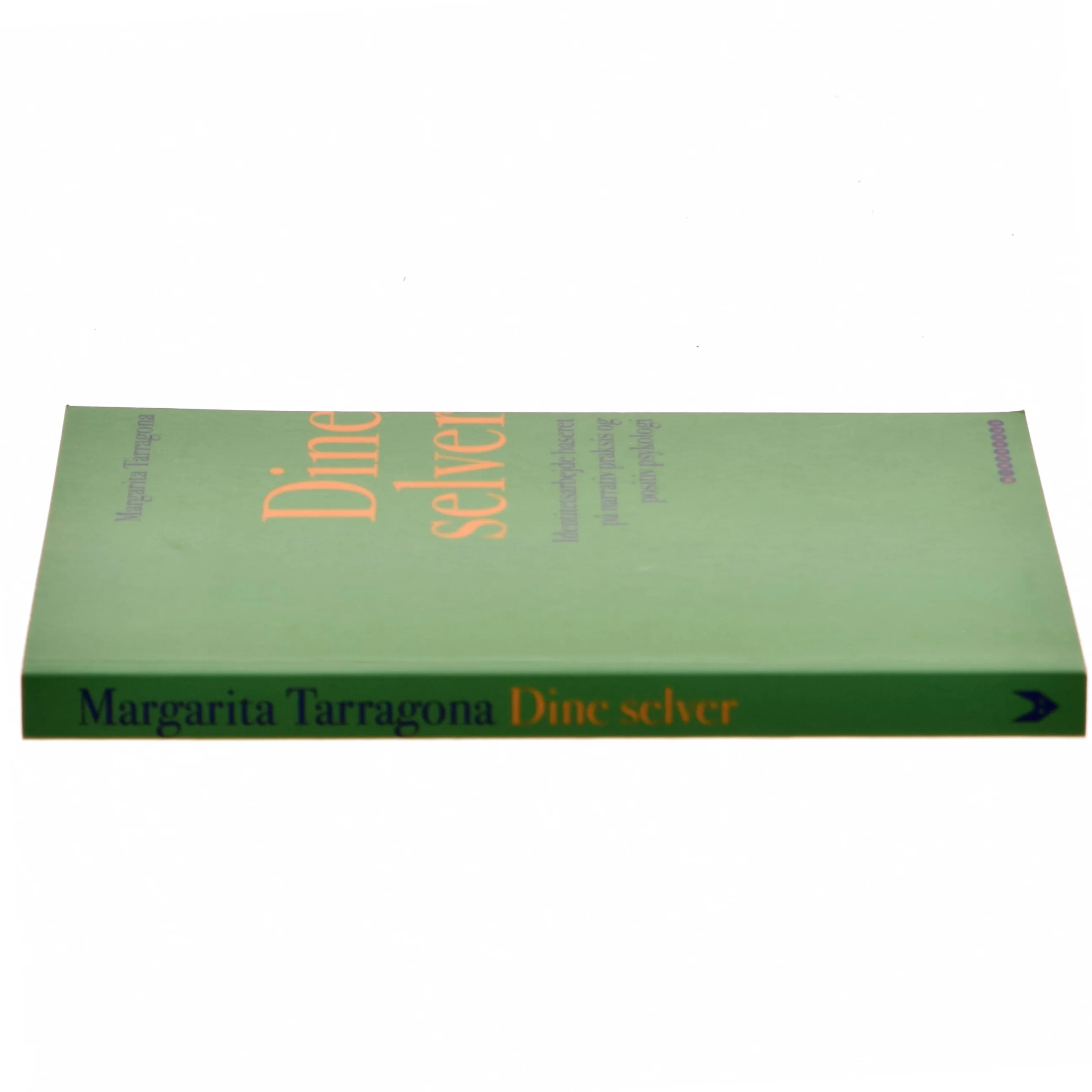 Dine selver : identitetsarbejde baseret på narrativ praksis og positiv psykologi af Margarita Tarragona (Bog)