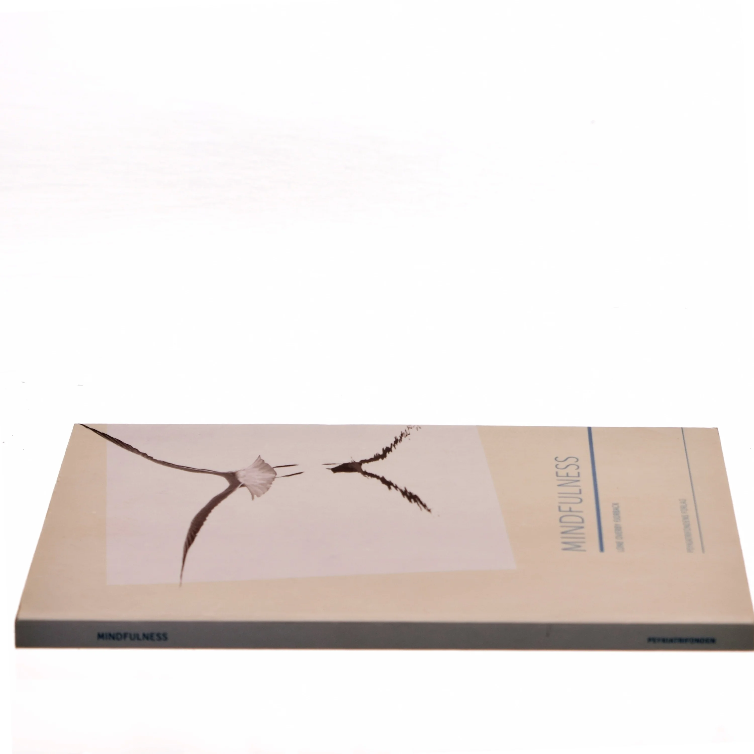 Mindfulness af Lone Overby Fjorback (Bog)