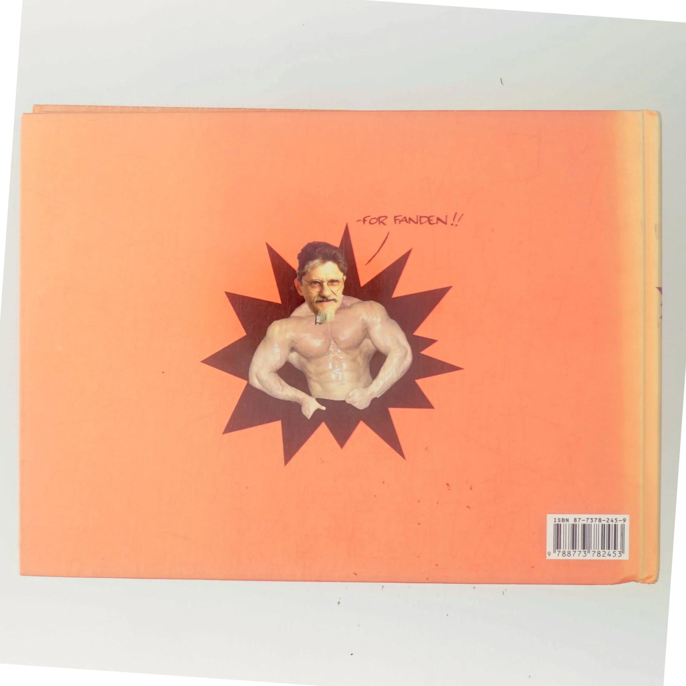 Den store Strid af Jakob Martin Strid (Bog)