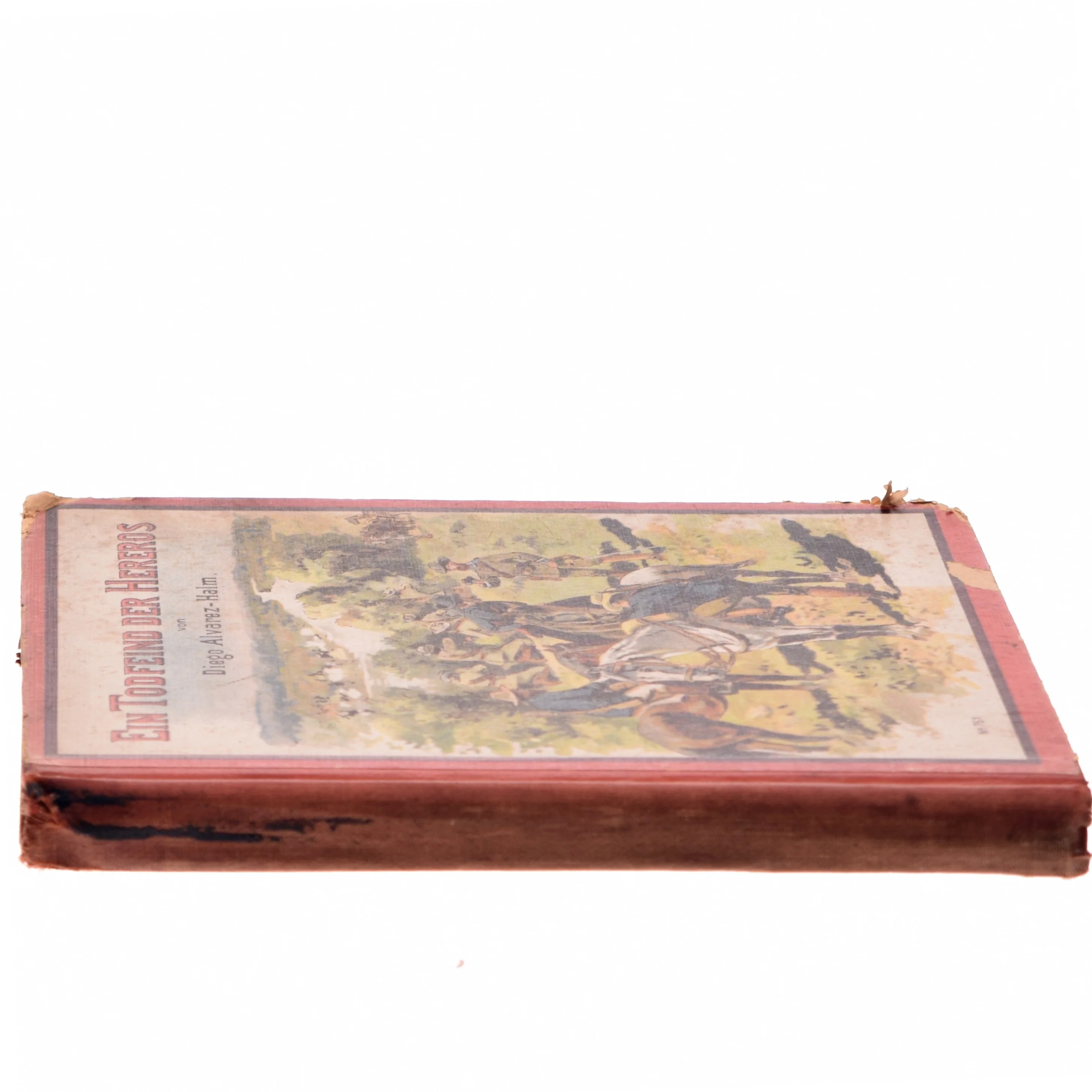 Ein Todfeind der Hereros af Diego Alvarez-Halm (Bog)