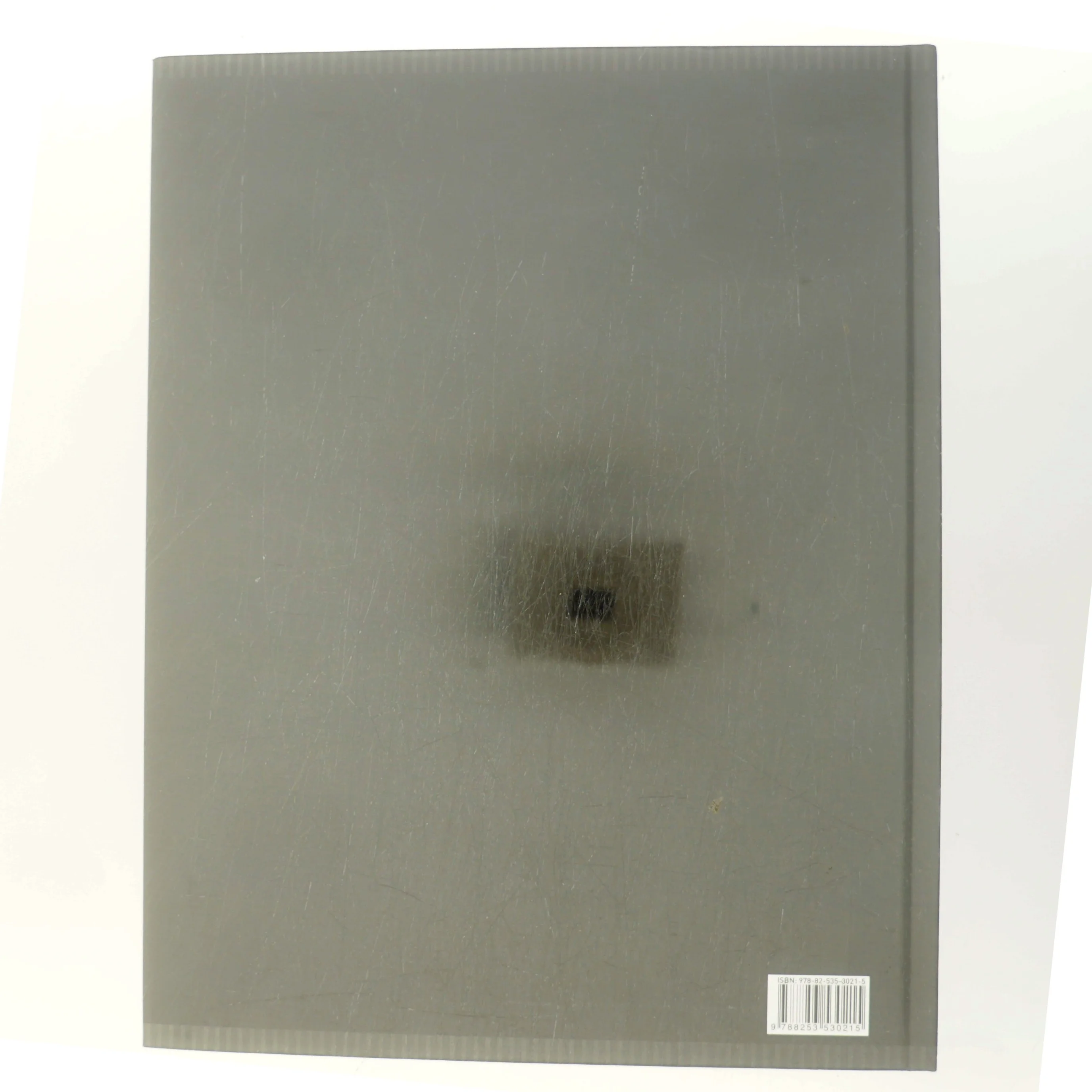 Det enestående menneske af Anders Enevold (f. 1976) (Bog)