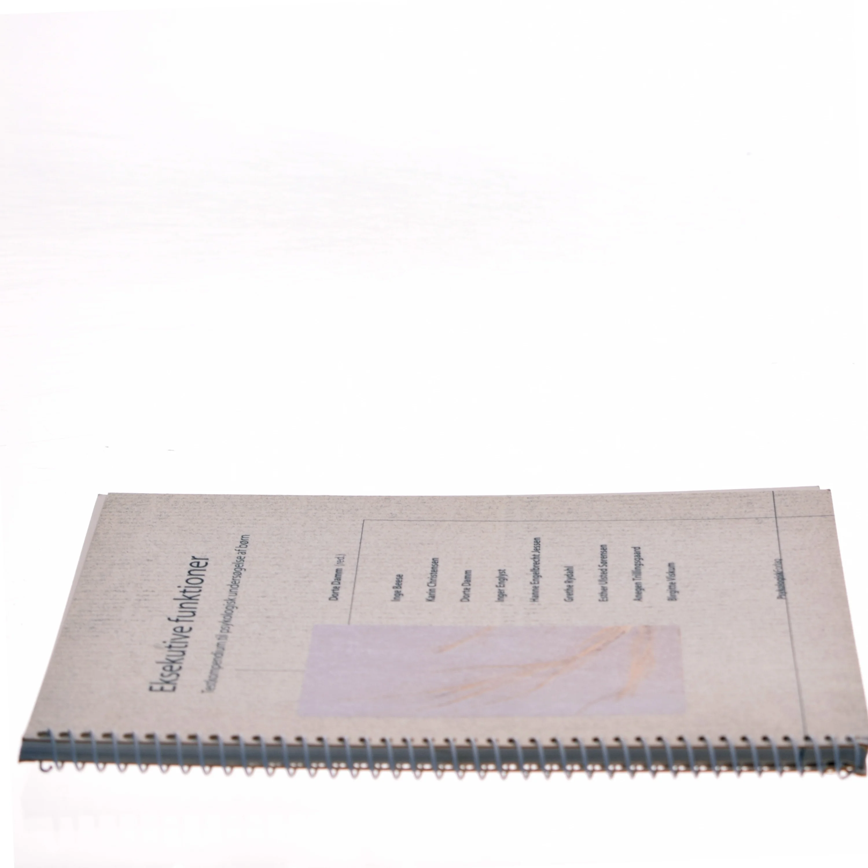 Eksekutive funktioner : tekstkompendium til psykologisk undersøgelse af børn (Bog)