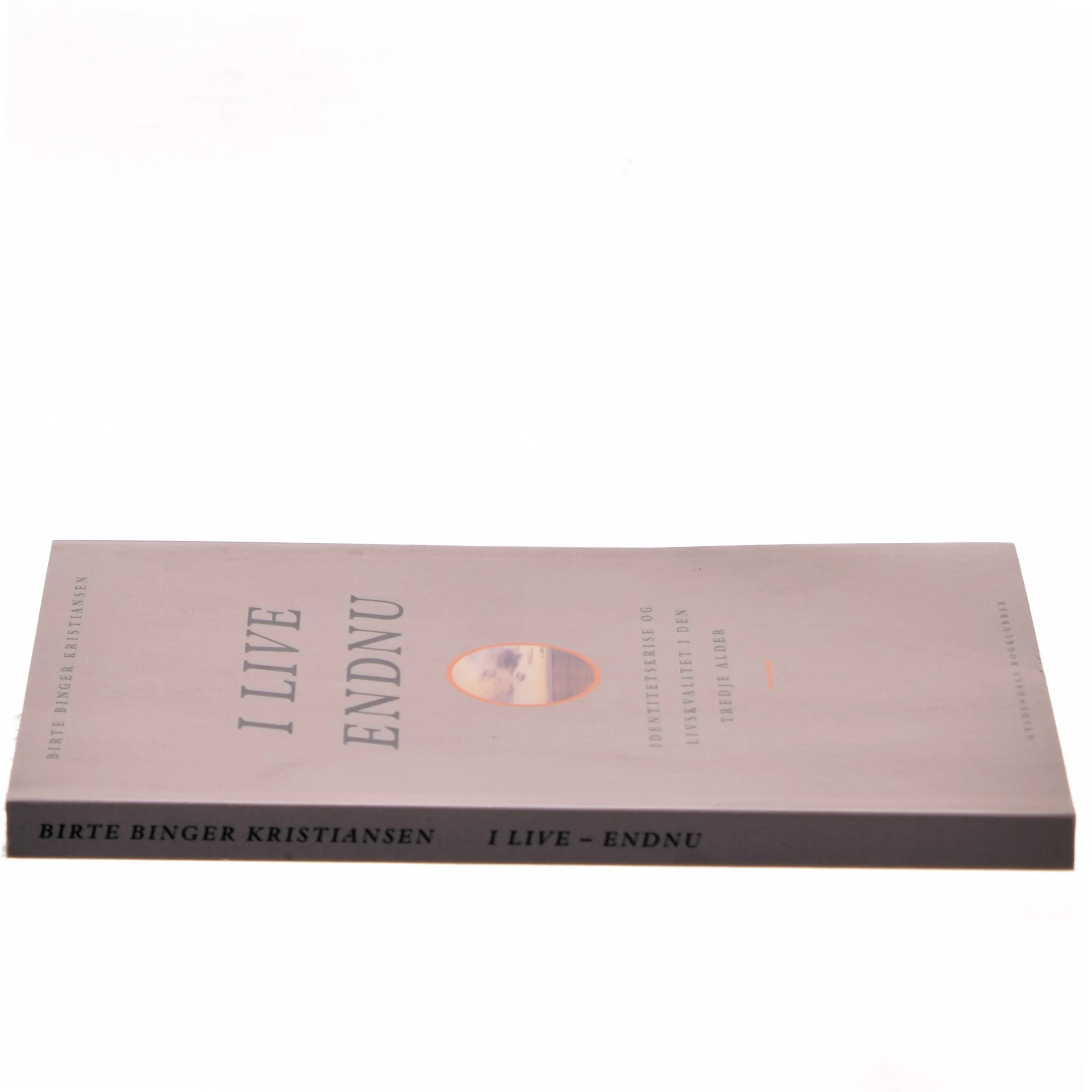 I live - endnu : identitetskrise og livskvalitet i den tredje alder af Birte Binger Kristiansen (Bog)