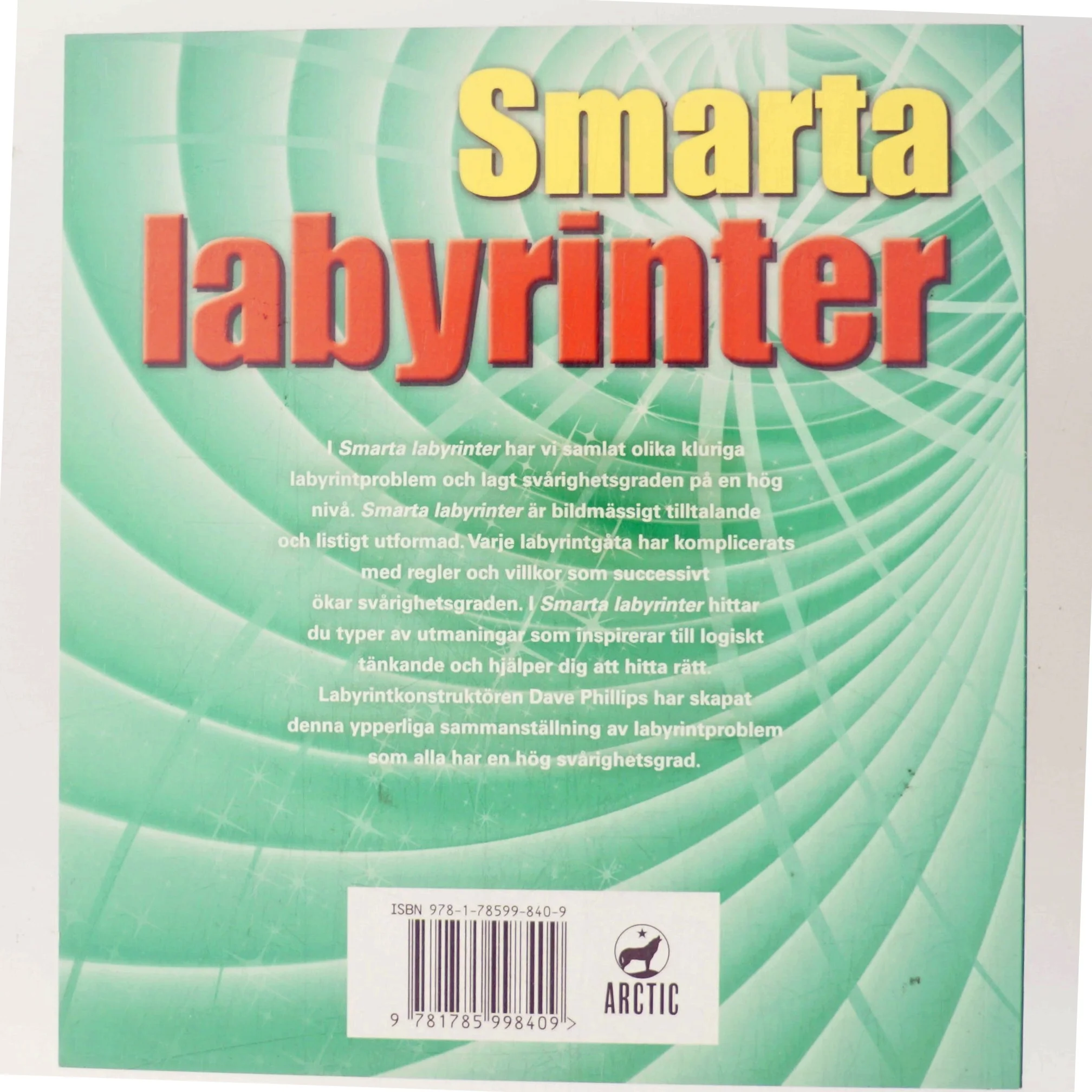 Smarta Labyrinter af Dave Phillips (Bog)