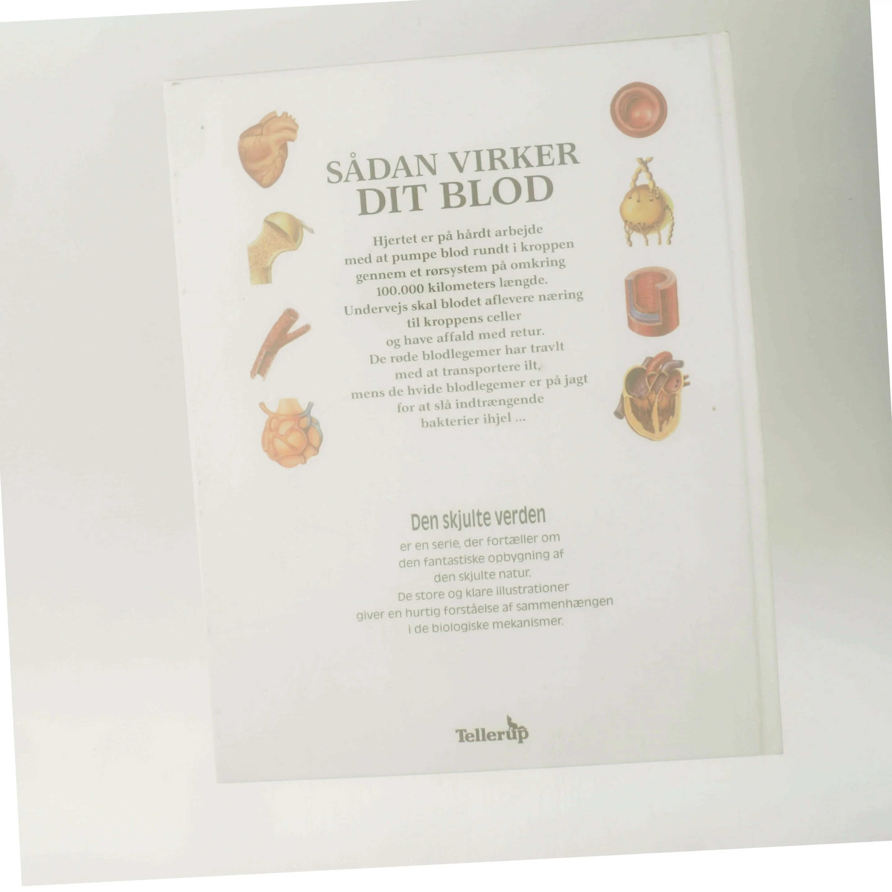 Sådan virker dit blod (Bog)