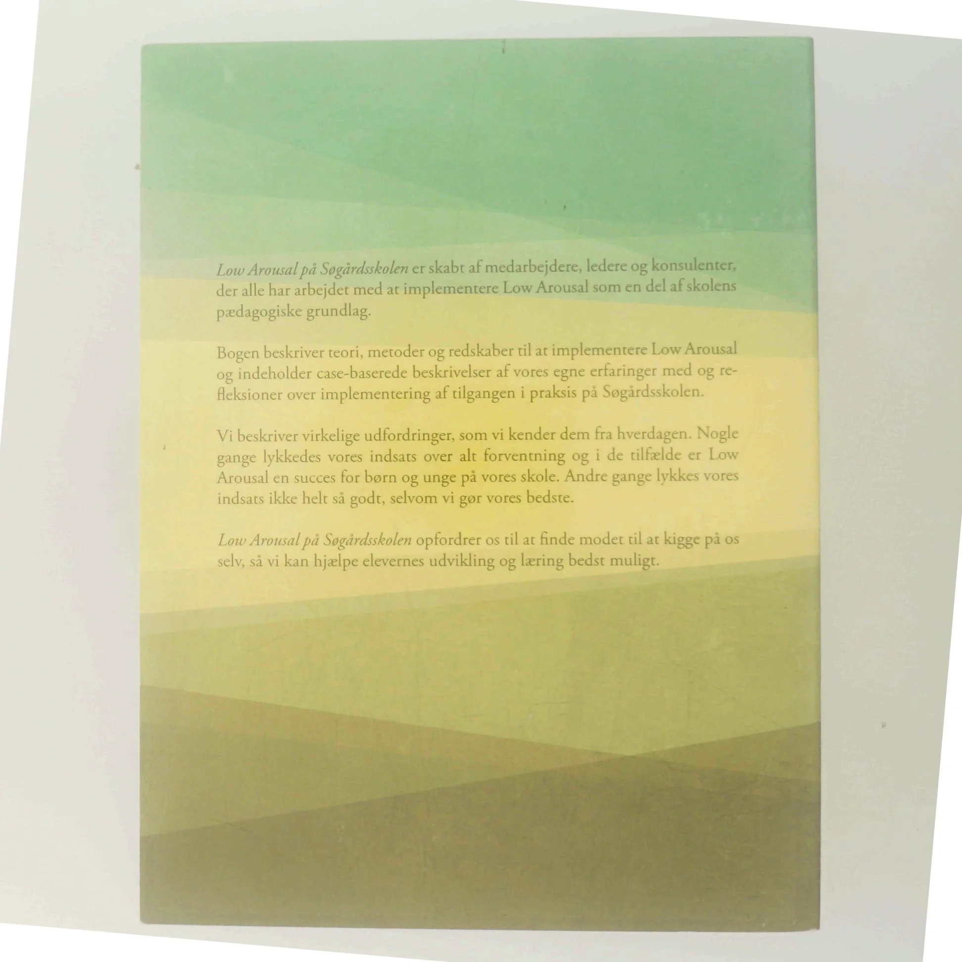 Low Arousal på Søgårdskolen af Ikke angivet (Bog)
