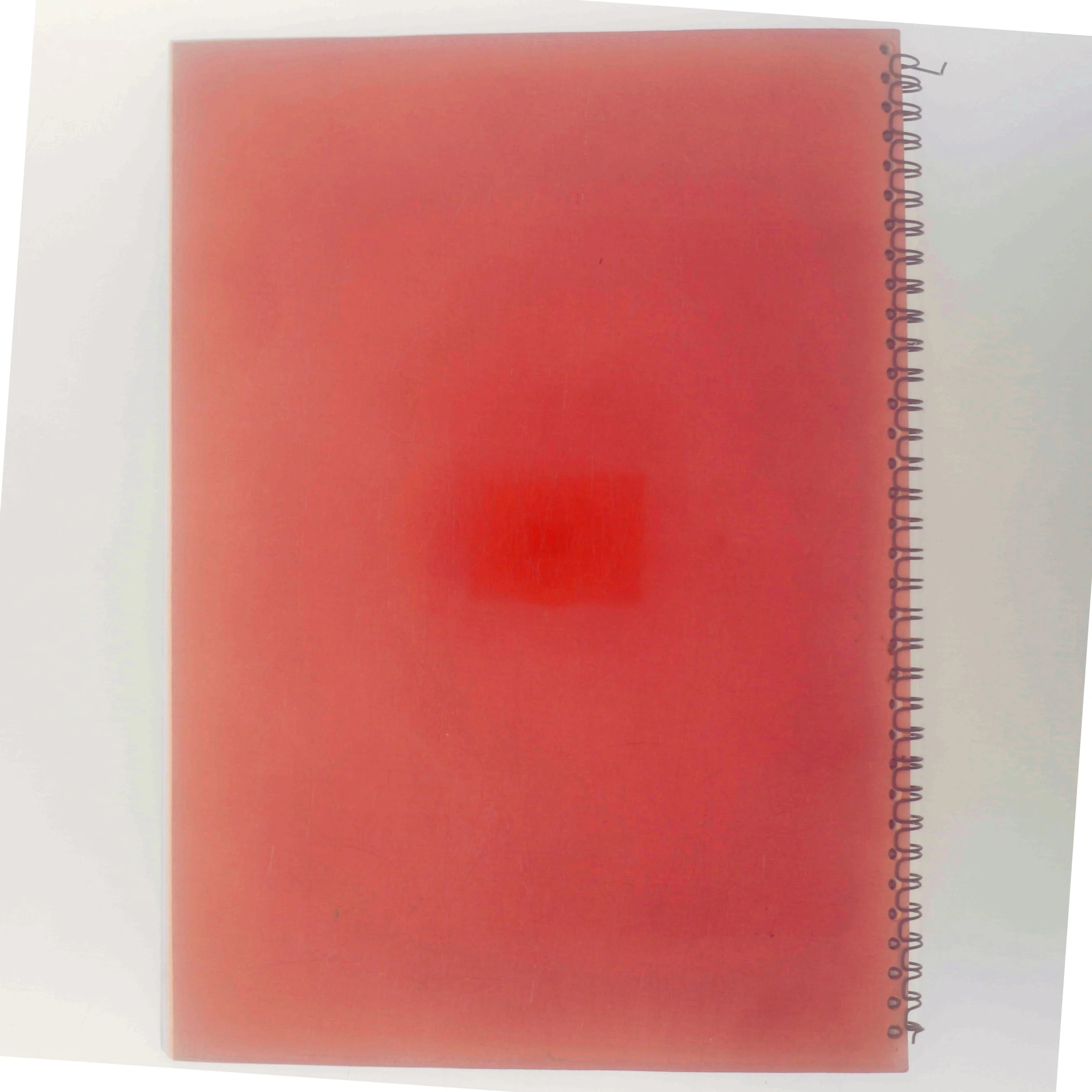 Baunehøj Efterskoles Bagebog (Bog)