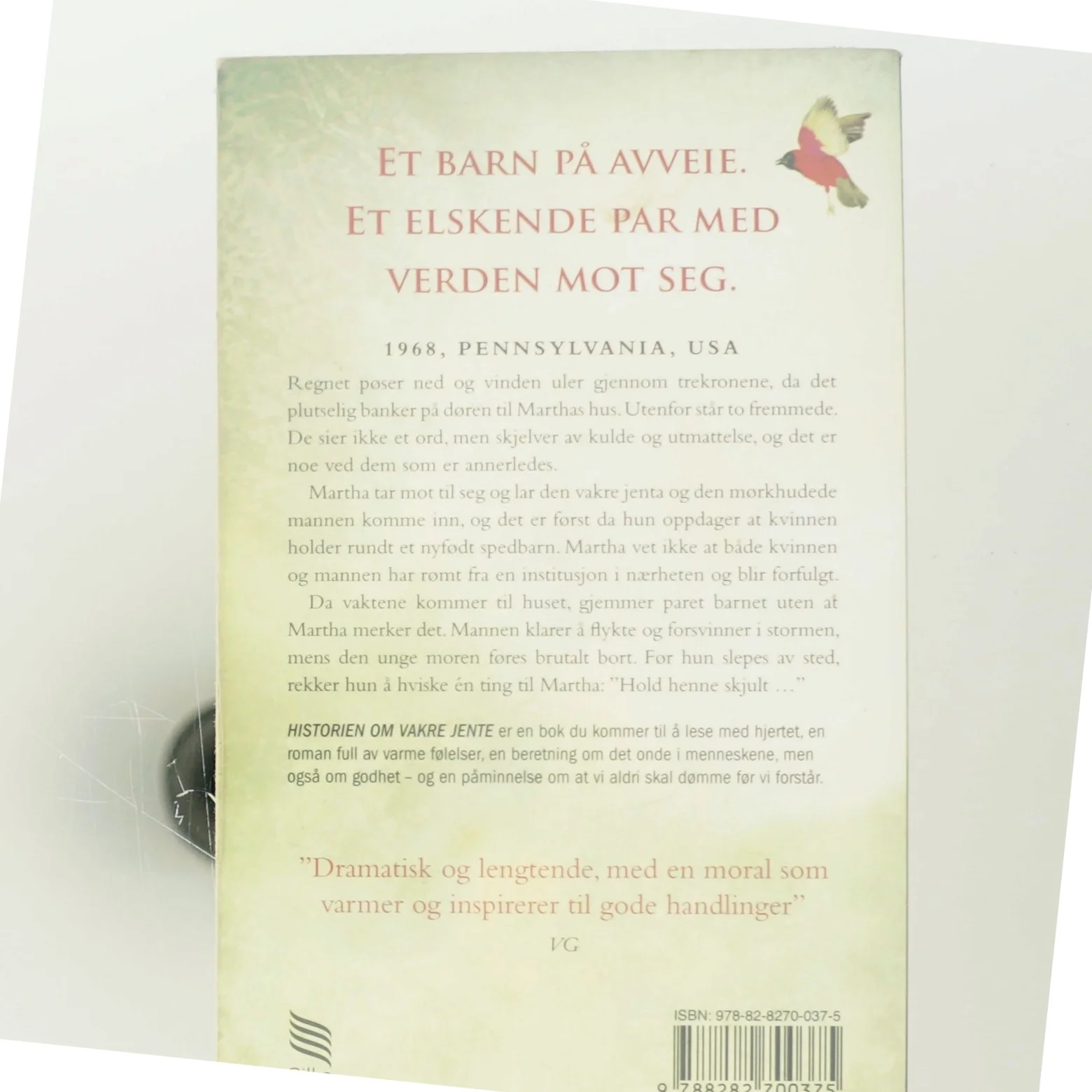 Historien om vakre jente af Rachel Simon (Bog)