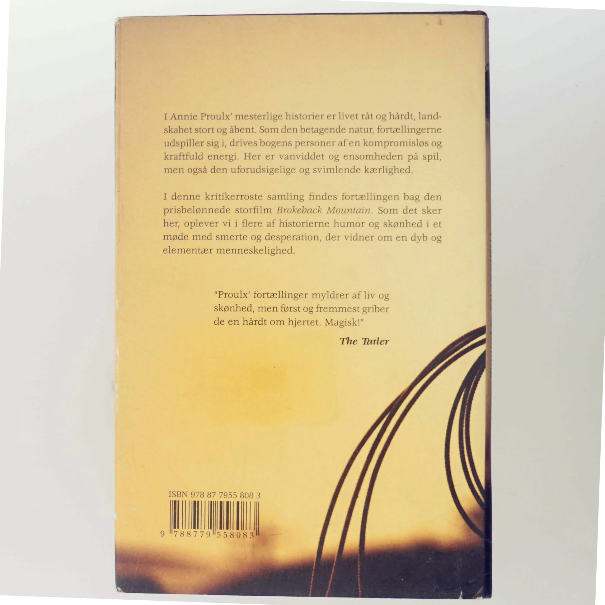 Brokeback Mountain : historier fra Wyoming af E. Annie Proulx (Bog)