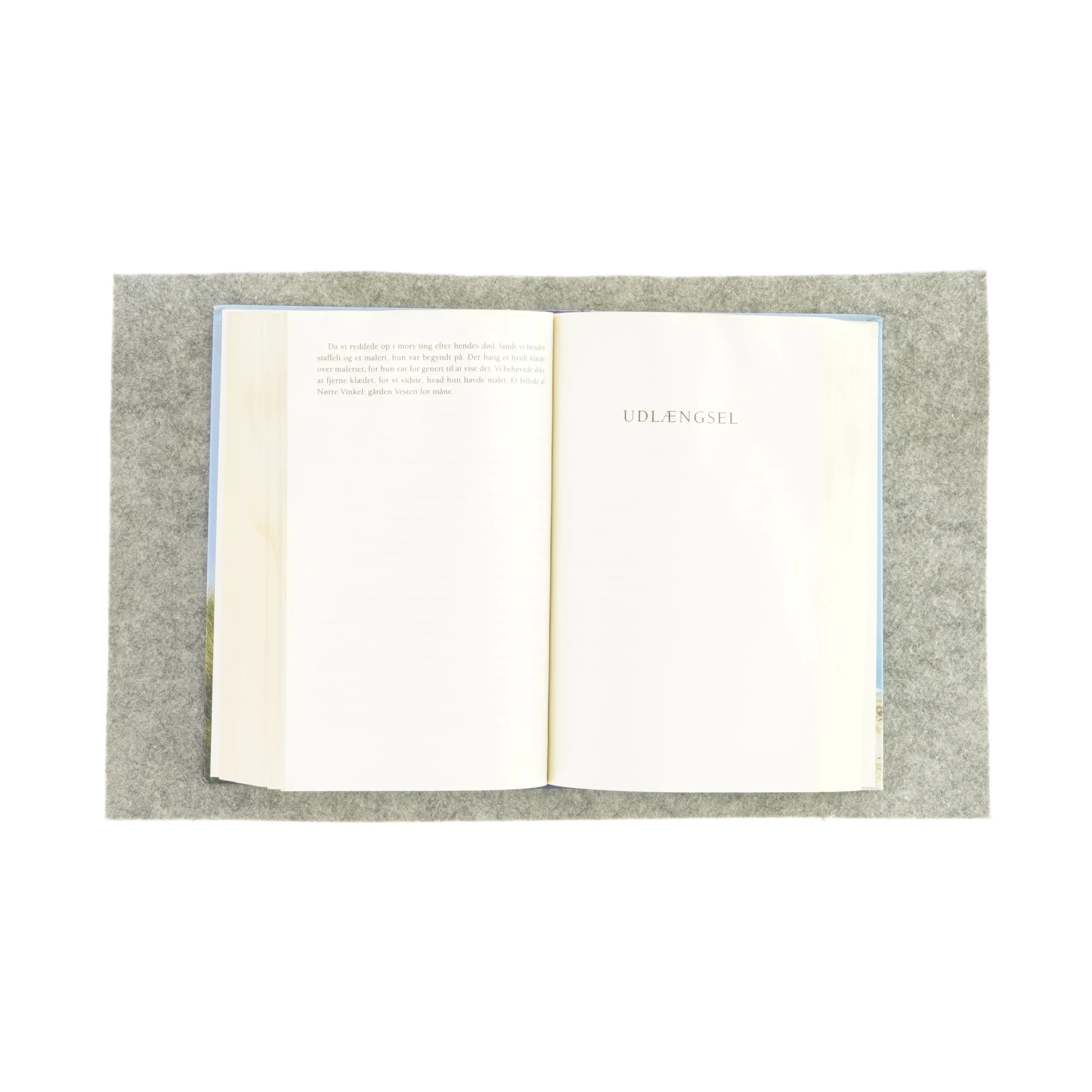 Lenvigkrøniken af Jane Aamund (bog)