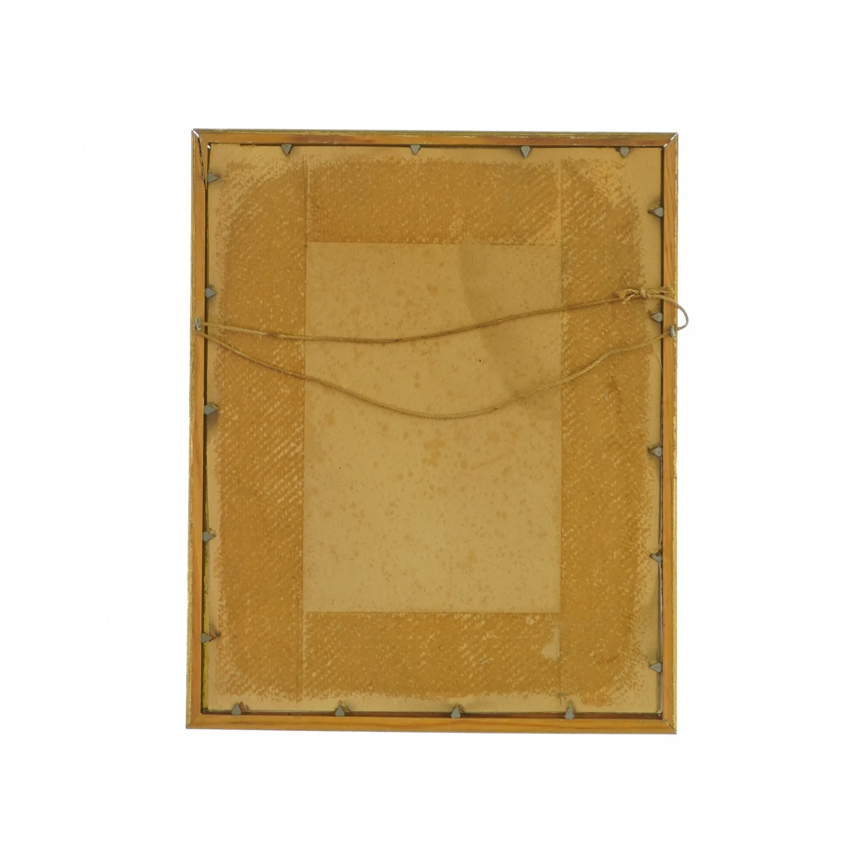 Billede i guldramme (27x22cm)