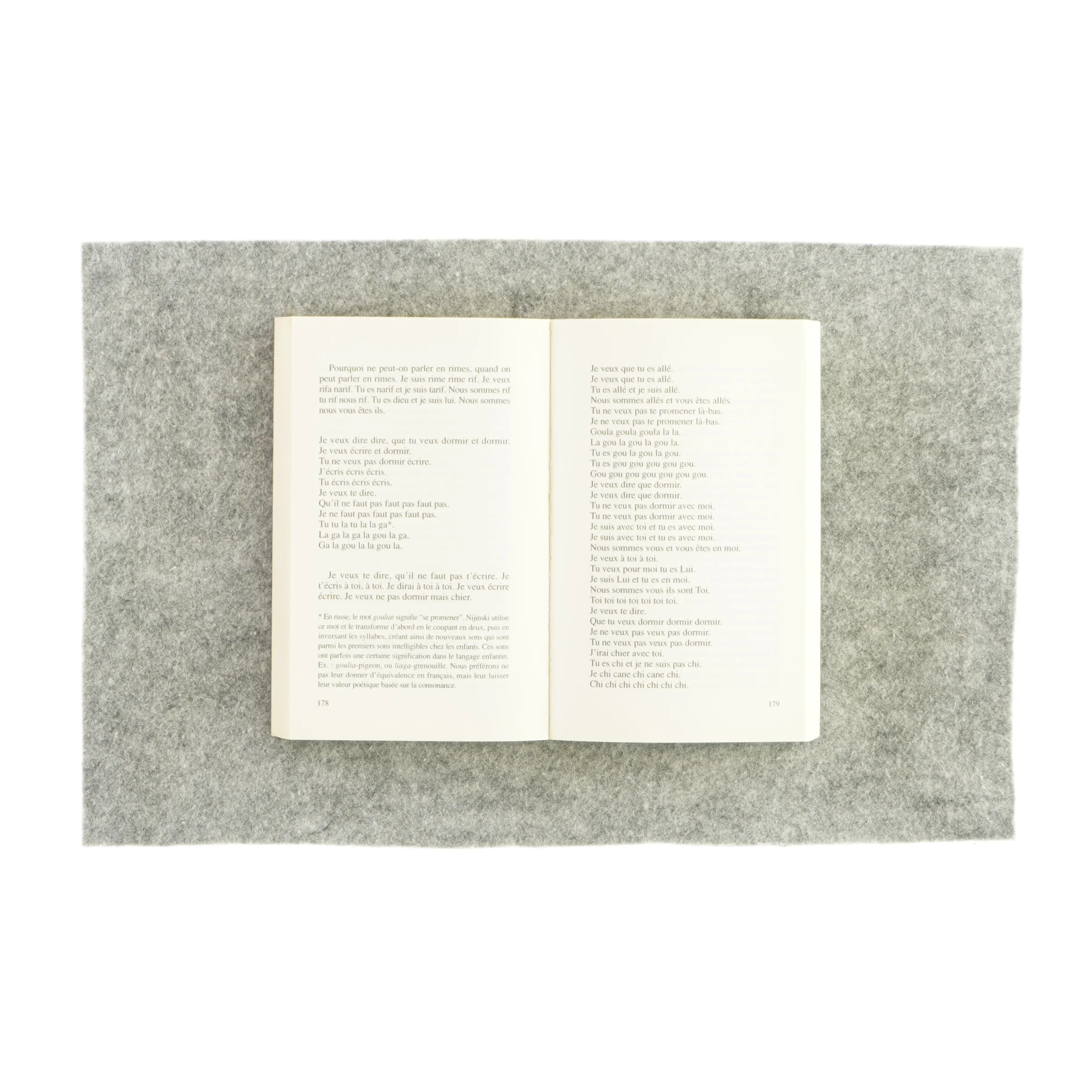 Cahiers af Vaslav Nijinski (bog)