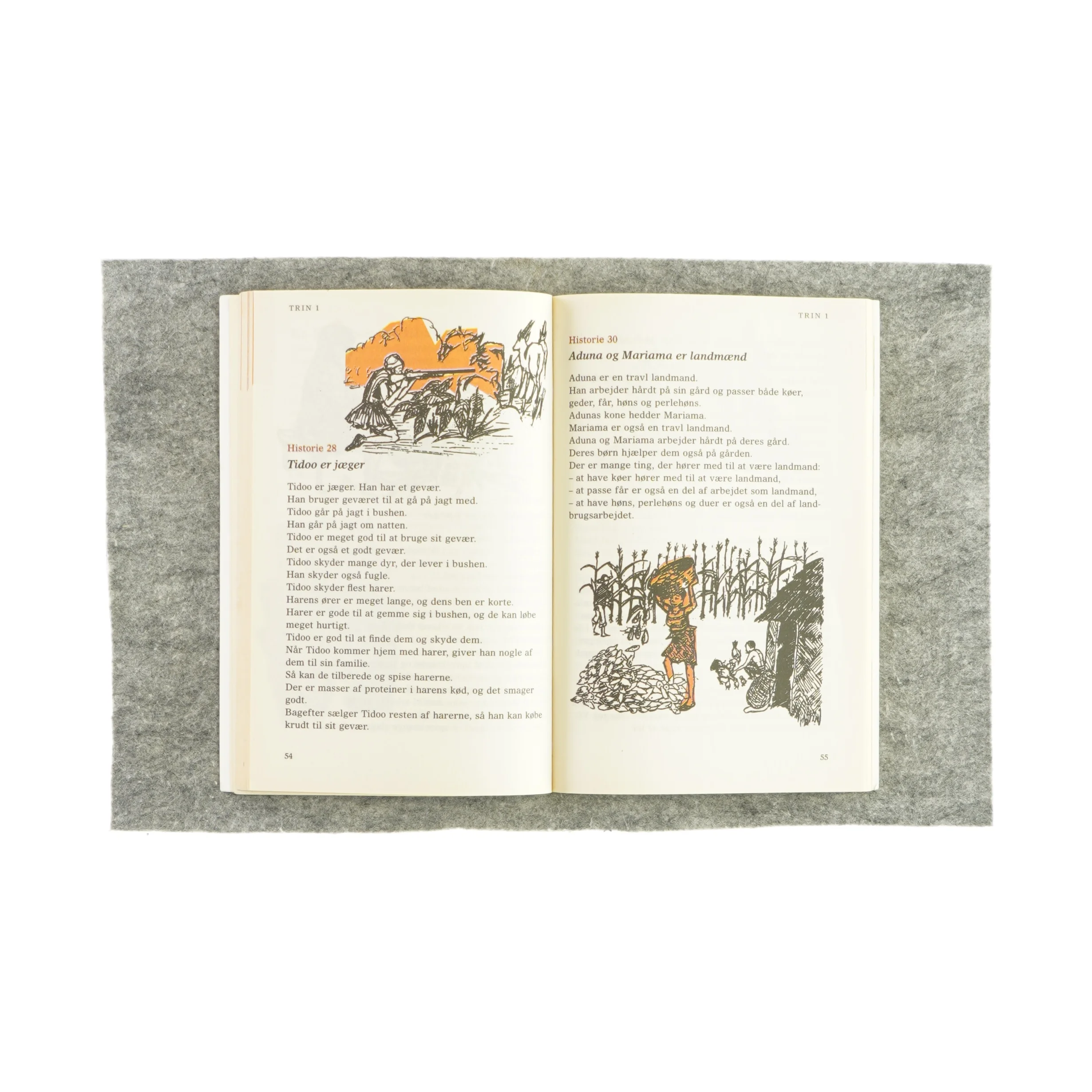 LæseRaketten 2006 fra Ibis (Bog)