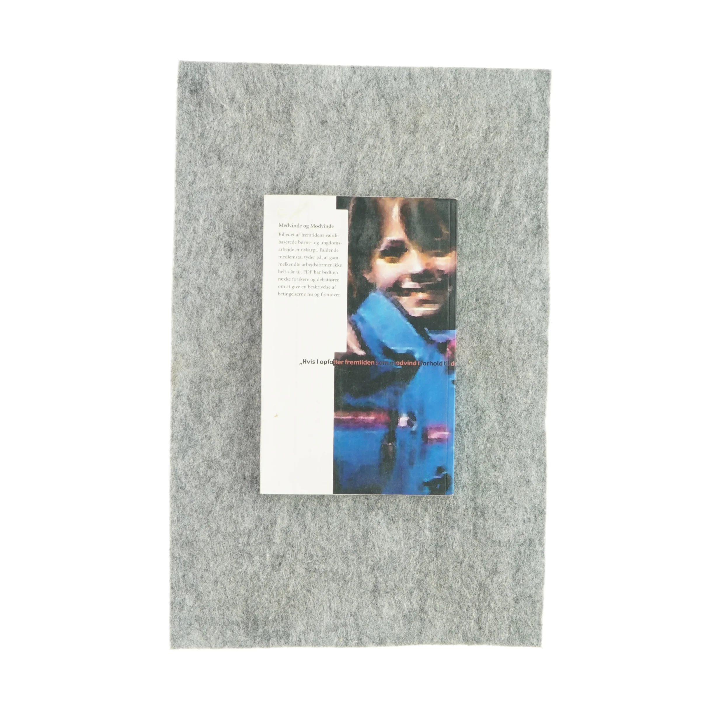 Medvinde og modvinde (bog)