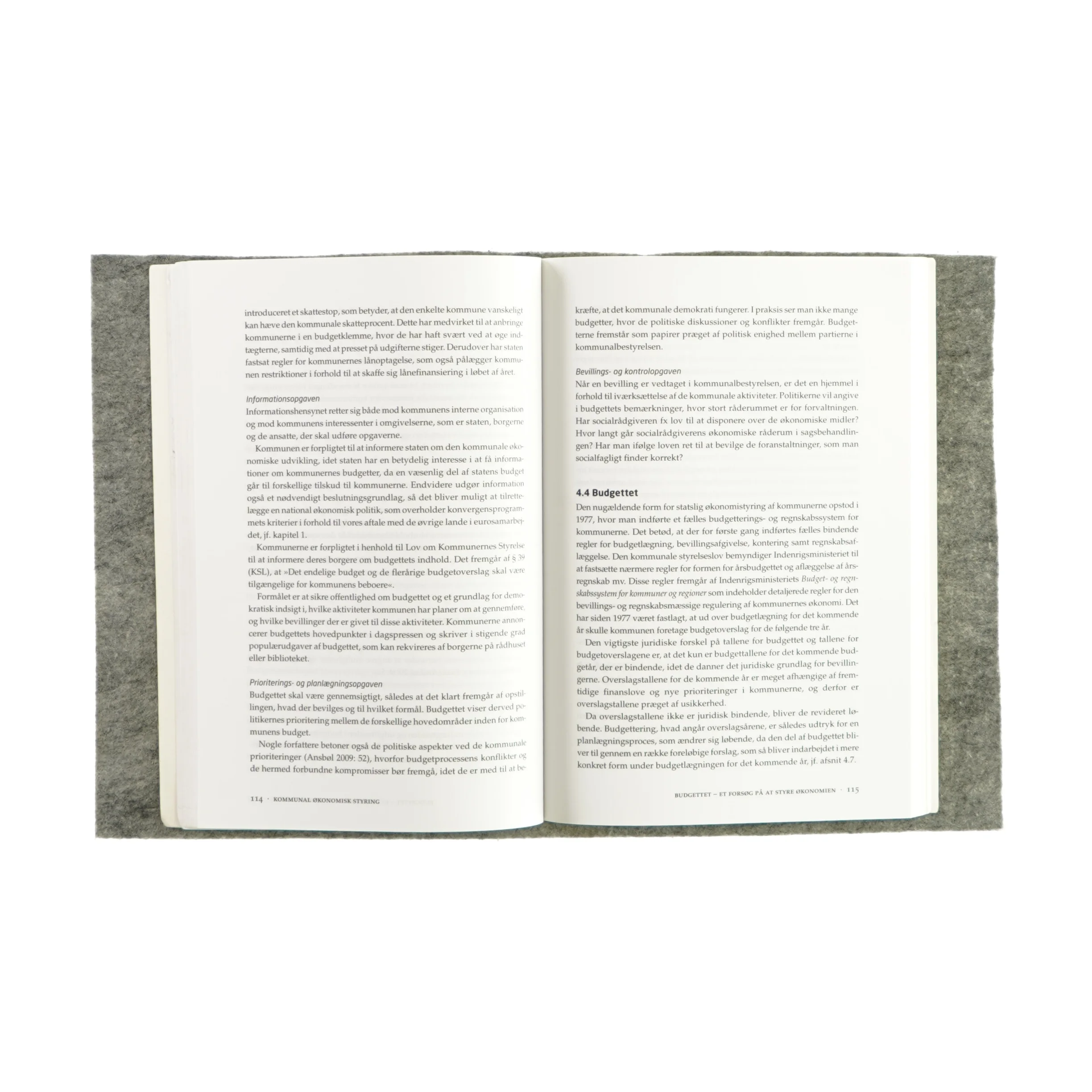 Kommunal økonomisk styring - på det sociale område (bog)