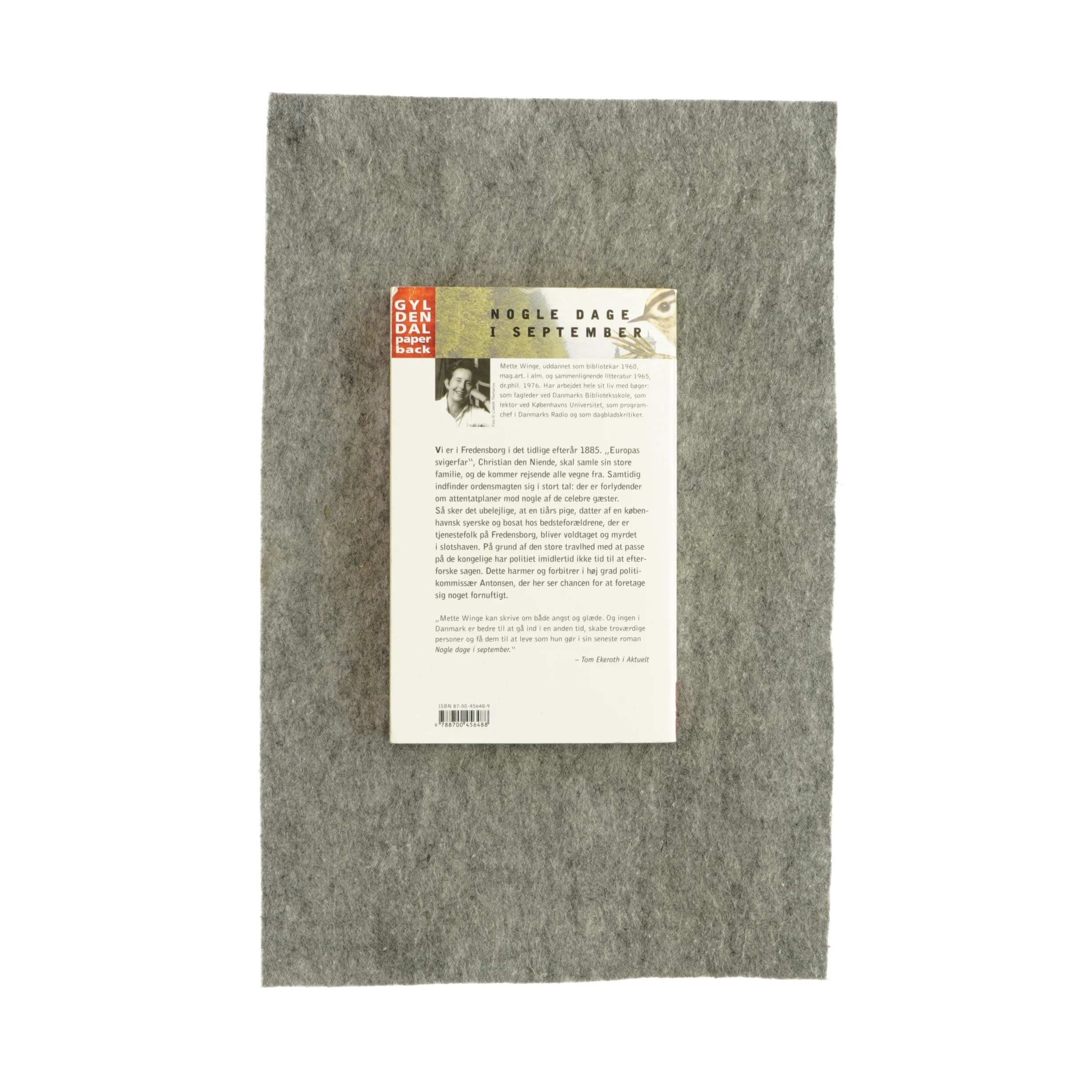 Nogle dage i september af Mette Winge (bog)