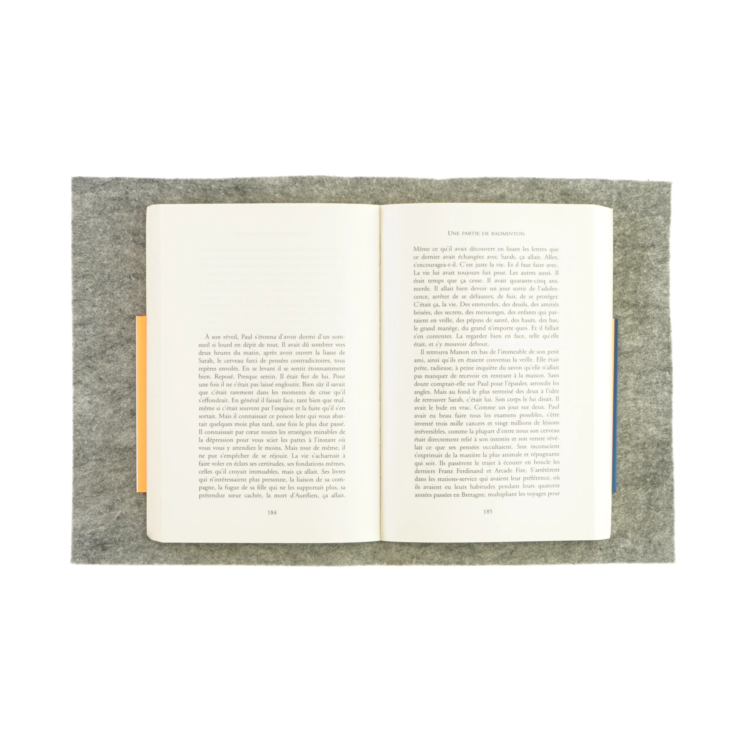 Flammarion af Olivier Adam (bog)